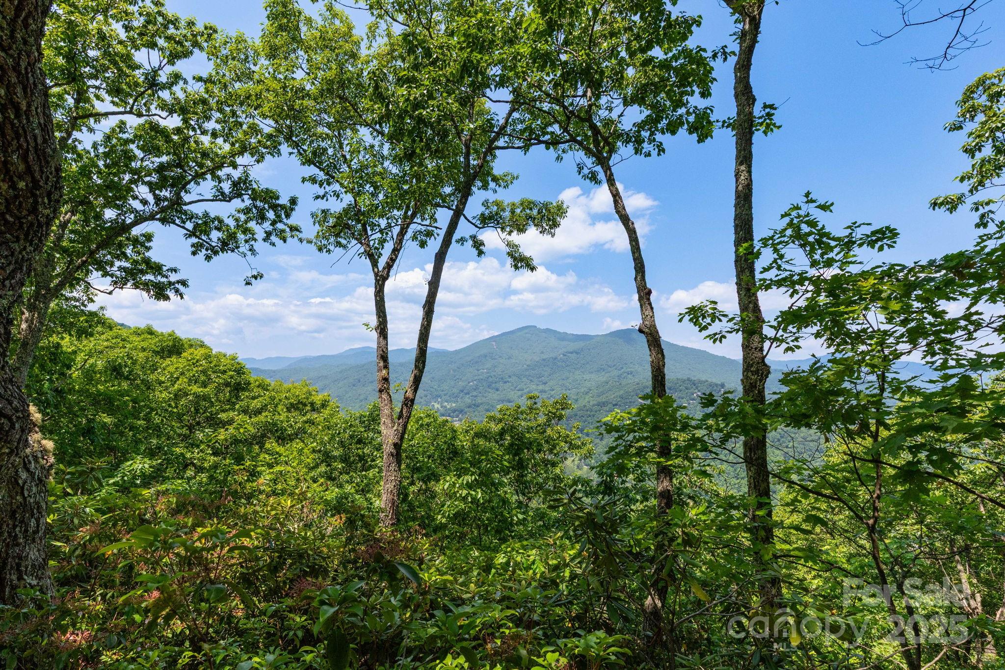 321 Tsalagi Trail
