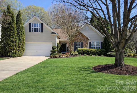 Photo of 1715 Lillywood Lane, Indian Land, SC 29707 (MLS # 4356721)