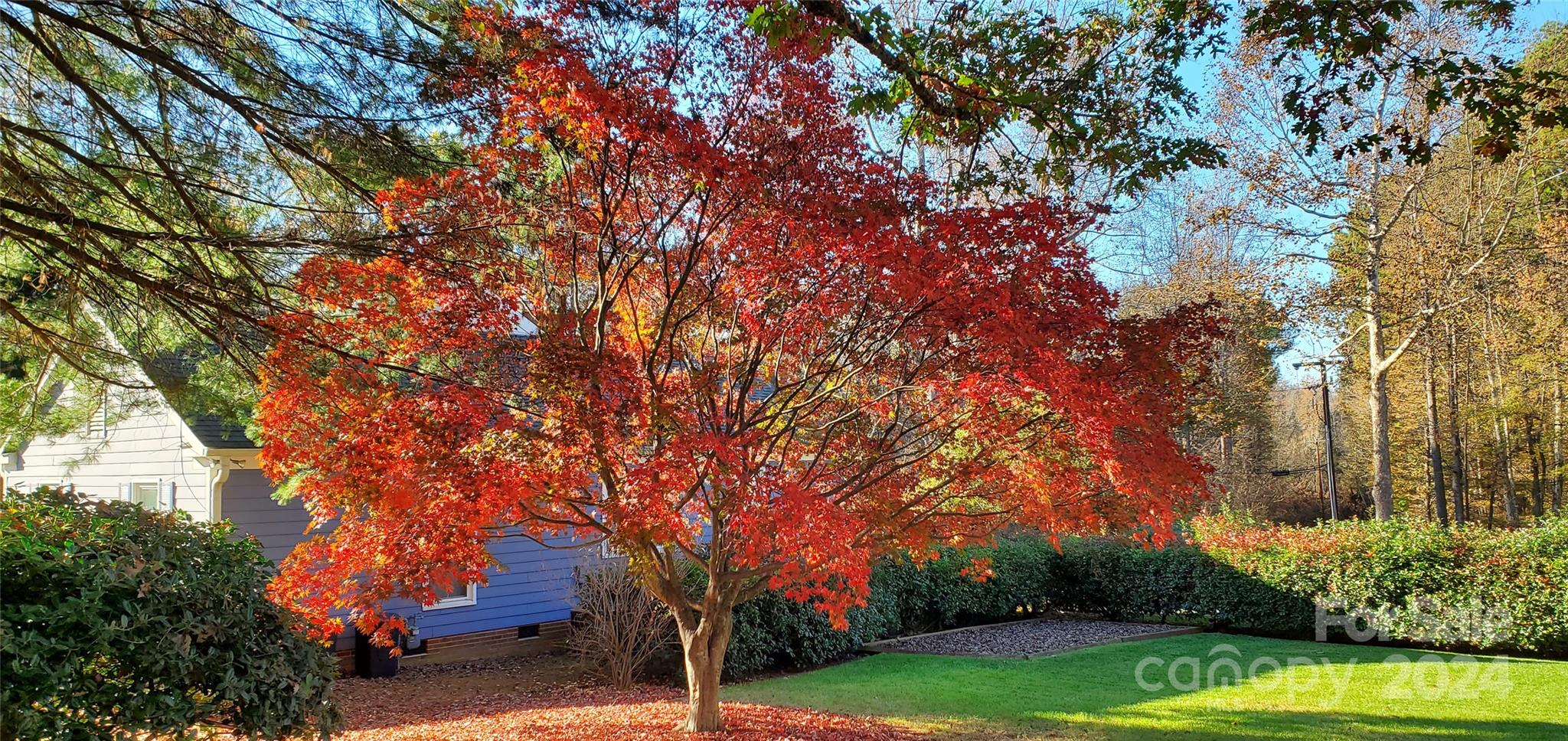 Wellington - Residential