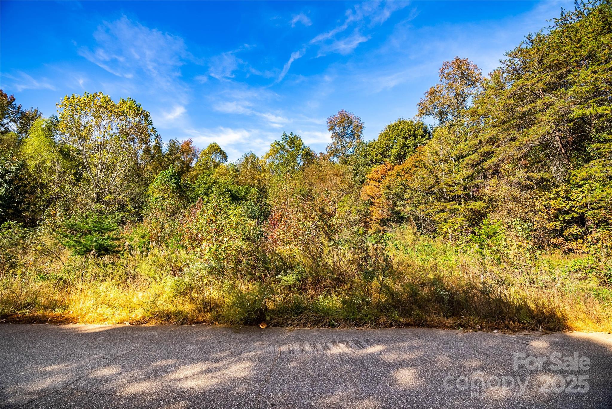 Creekside Village - Land