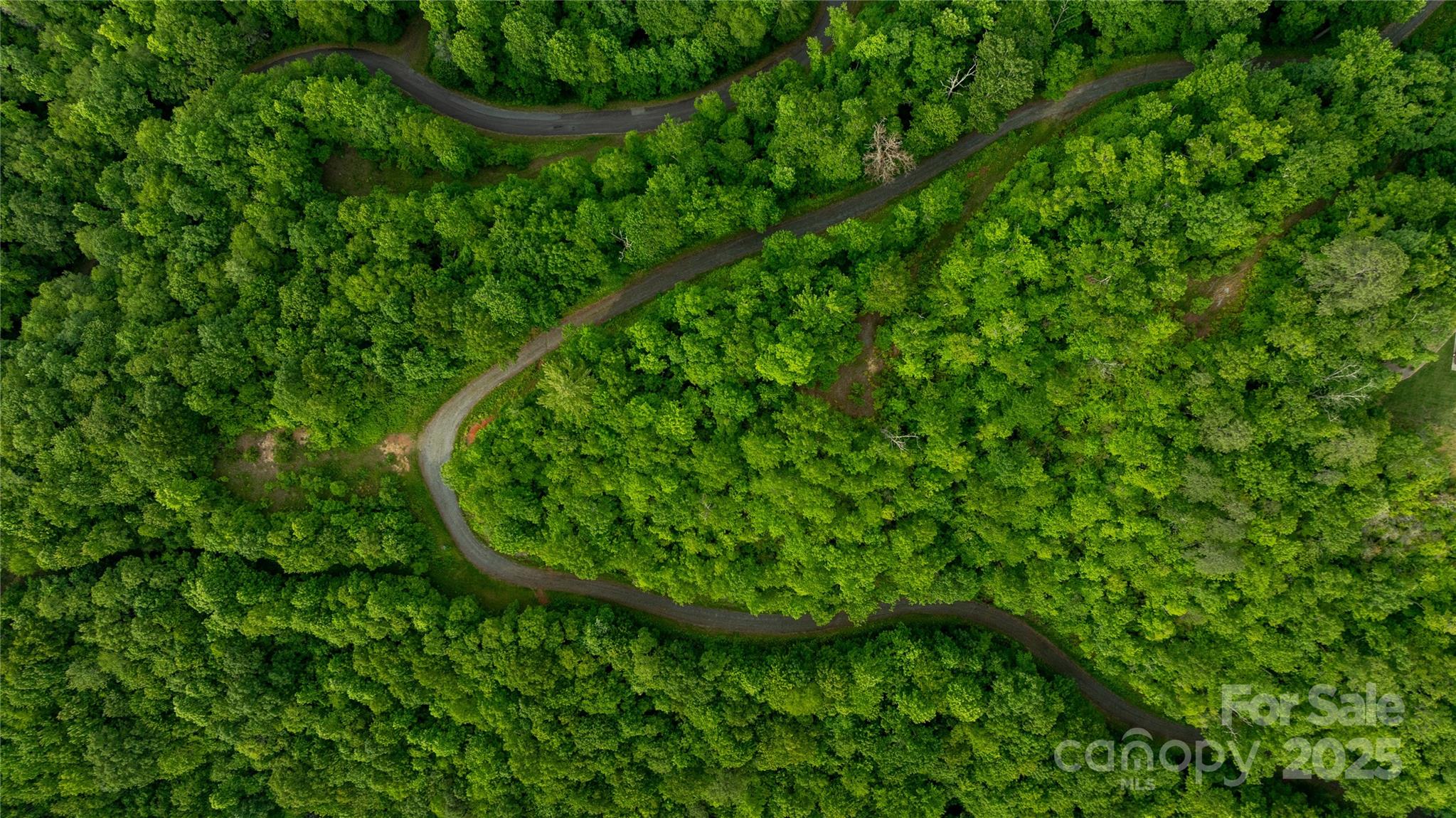 00 Upper Dalton Creek Road