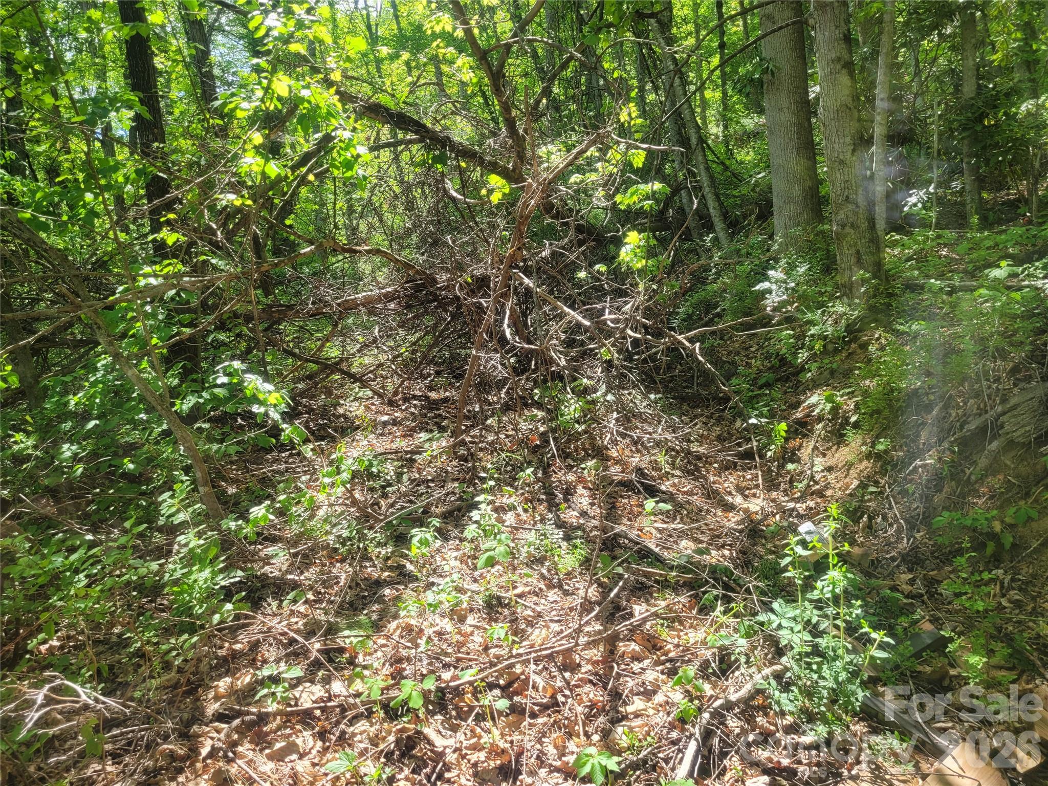 Fox Run - Land