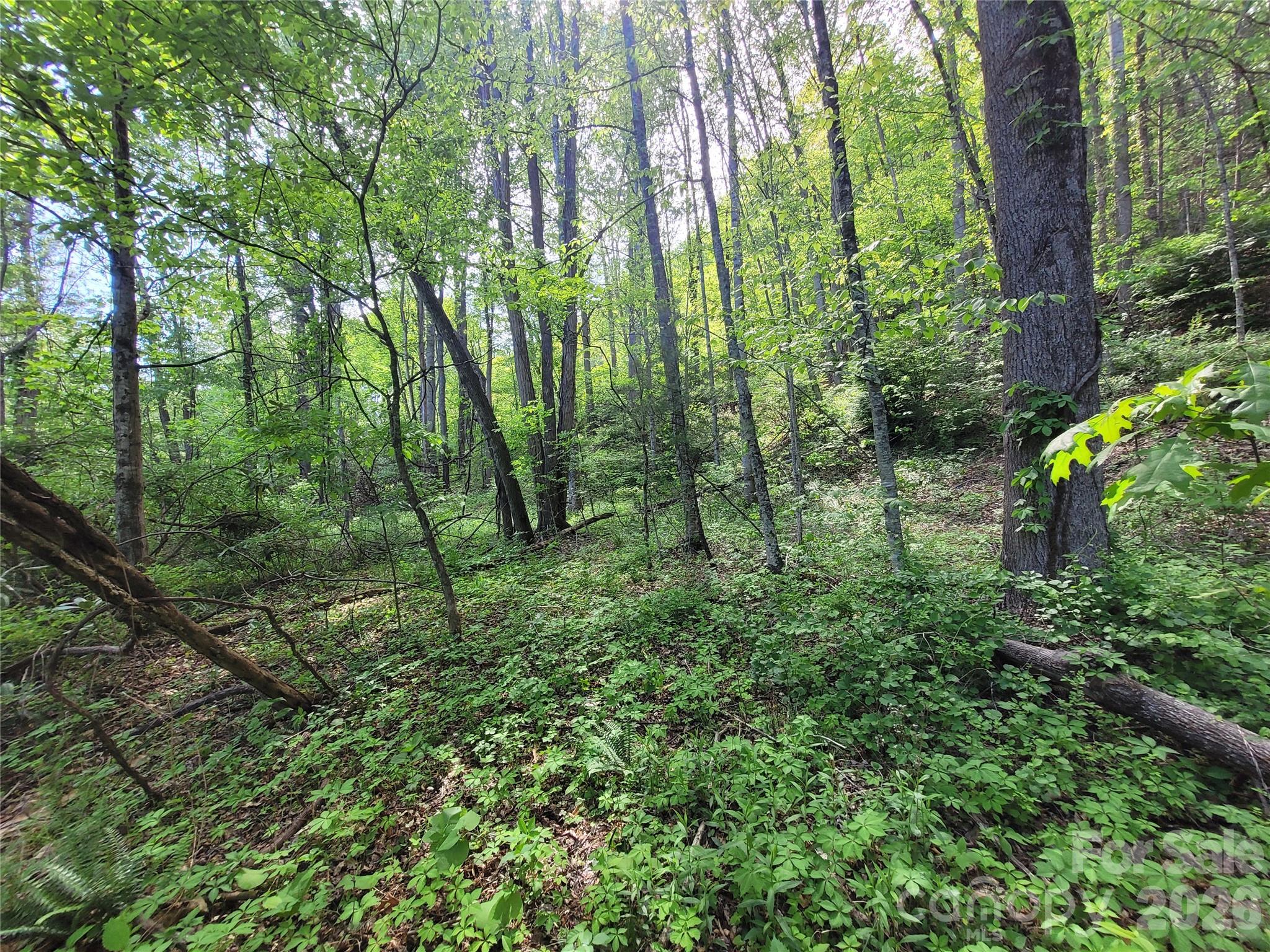 Fox Run - Land