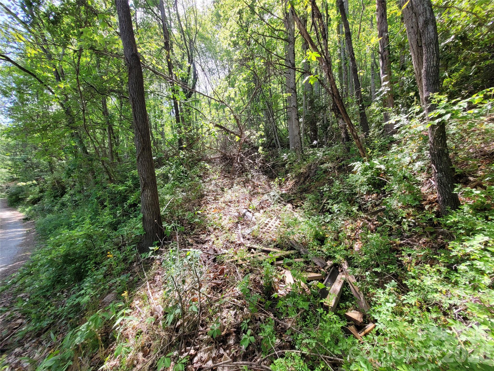 Fox Run - Land