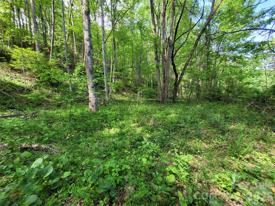 Build your mountain vision in beautiful Maggie Valley. This two-lot offering on Fox Run Road presents an excellent opportunity for investors, builders, or anyone looking for buildable land in one of Western North Carolina’s most beloved mountain communities. One lot features an existing previously graded, level build site that appears to need only tree clearing and minimal site prep to be ready for the next step. The second lot offers strong potential for an additional build site, creating flexibility for a primary residence, investment build, family compound, or future resale opportunity. Enjoy the peaceful mountain setting while being conveniently located near Maggie Valley attractions, Waynesville, the Blue Ridge Parkway, Cataloochee Ski Area, hiking, dining, shopping, and year-round recreation. A rare chance to secure usable land with multiple possibilities in the Maggie Valley area. Buyer to verify road maintenance, utilities, septic suitability, zoning, and intended use. Best access to property is from Juniper Ln.