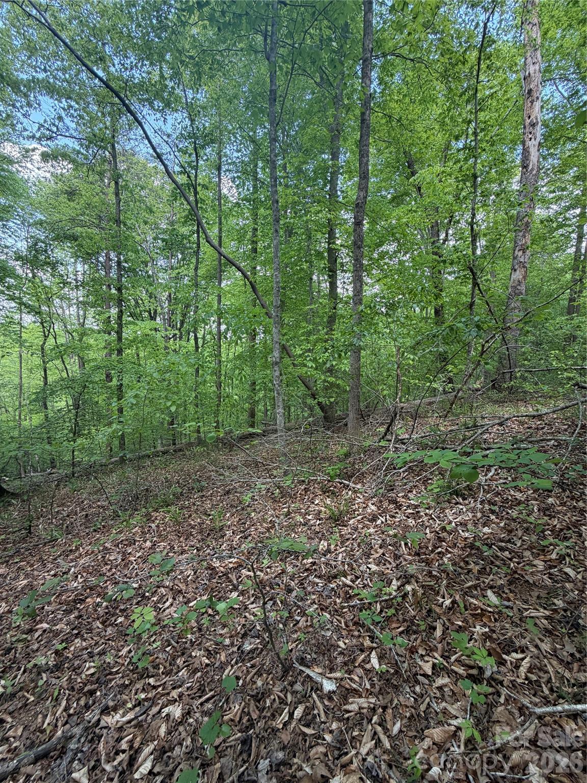 0 Overstone Drive 284