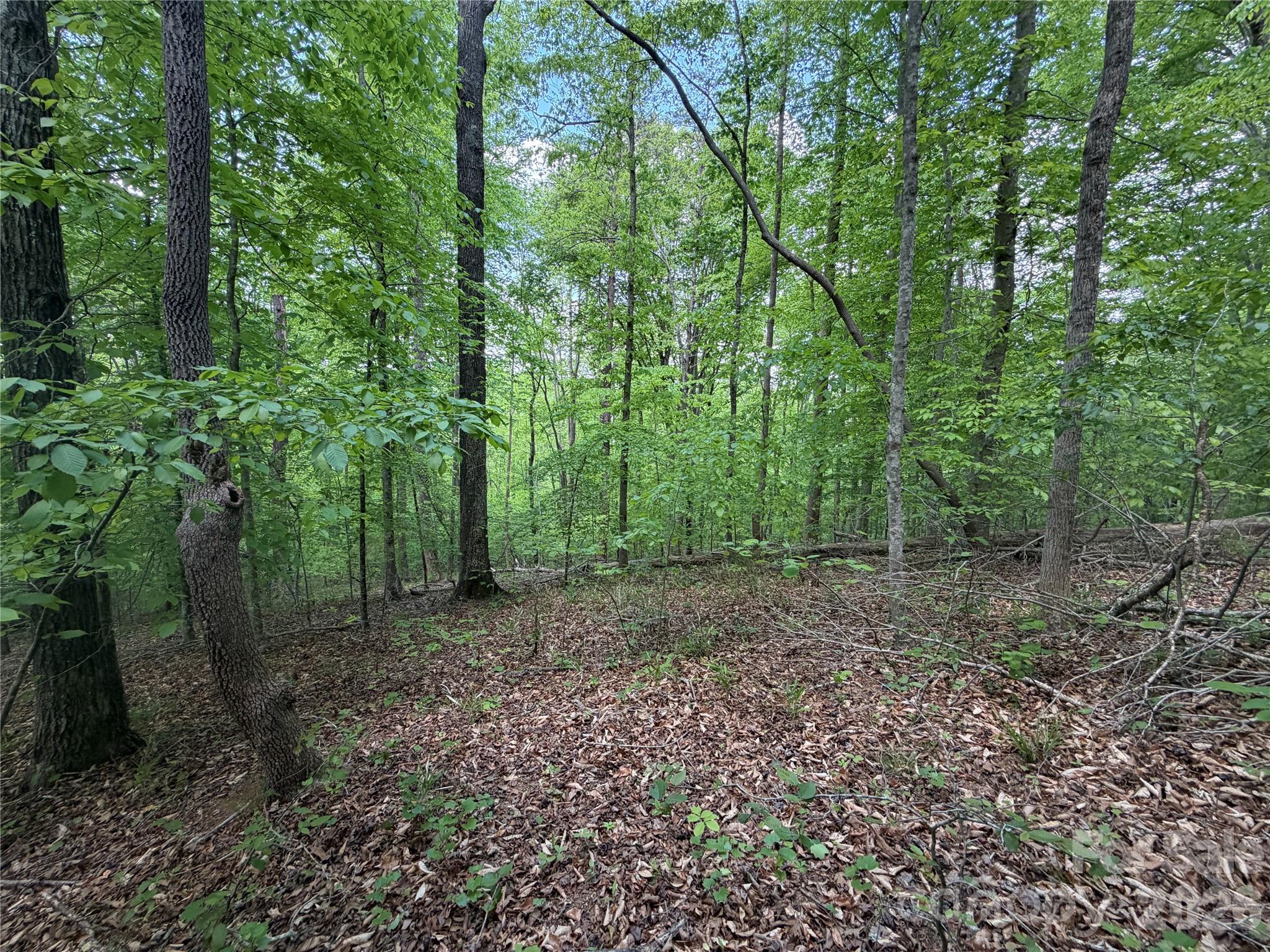 0 Overstone Drive 284