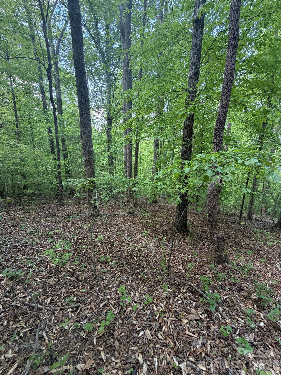 0 Overstone Drive 284