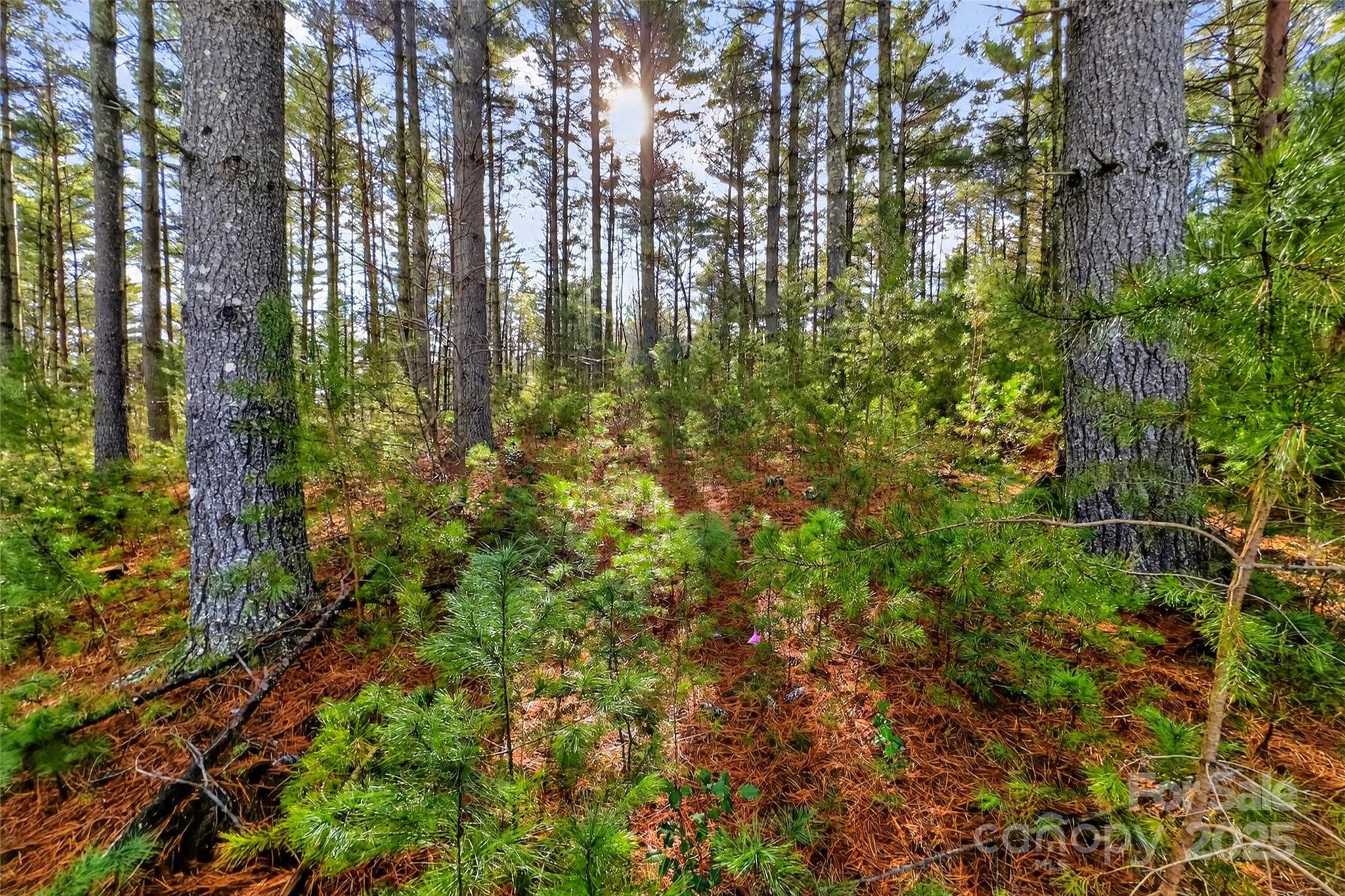 The Peninsula at Lake James - Land