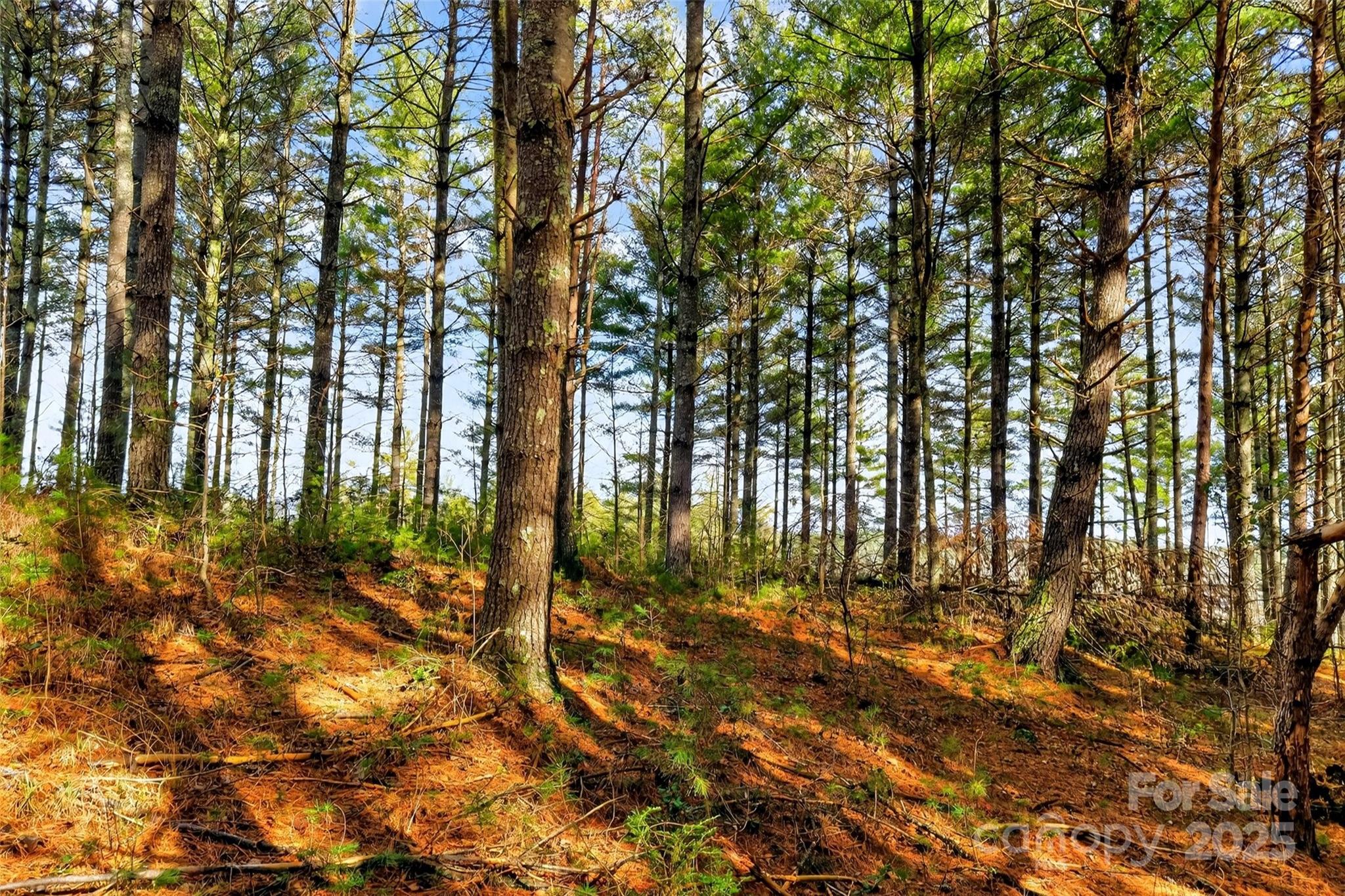 The Peninsula at Lake James - Land
