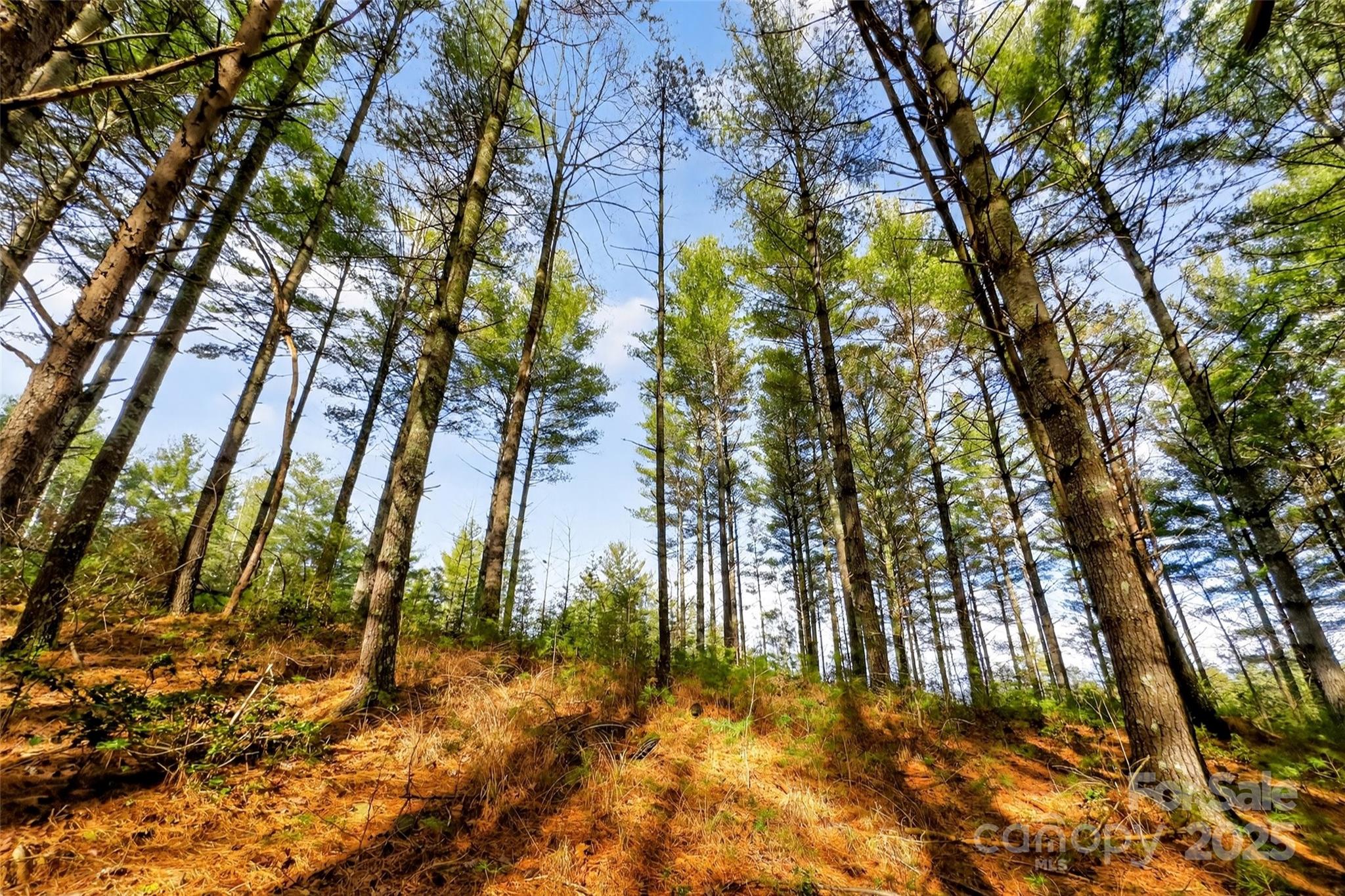 The Peninsula at Lake James - Land