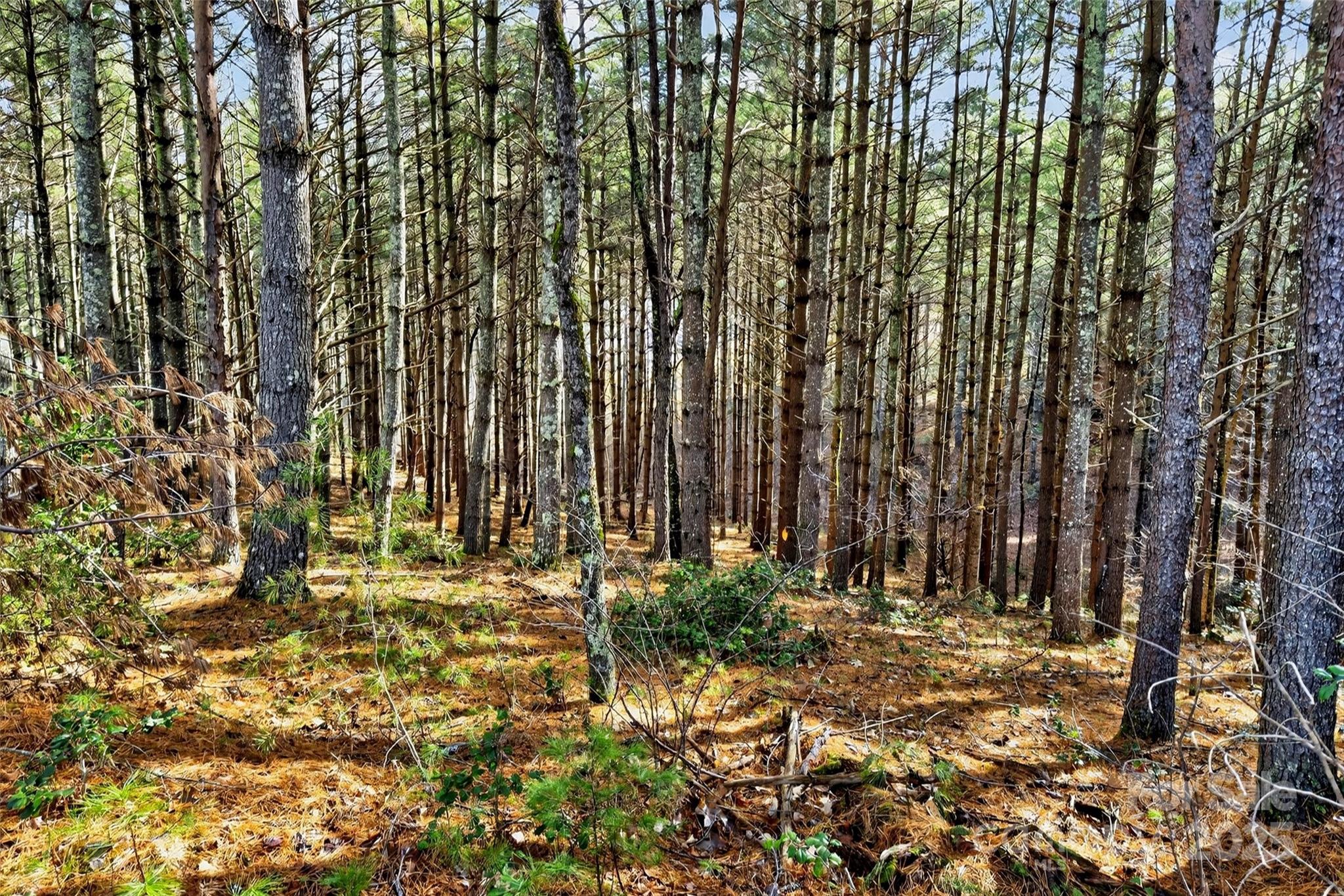 The Peninsula at Lake James - Land