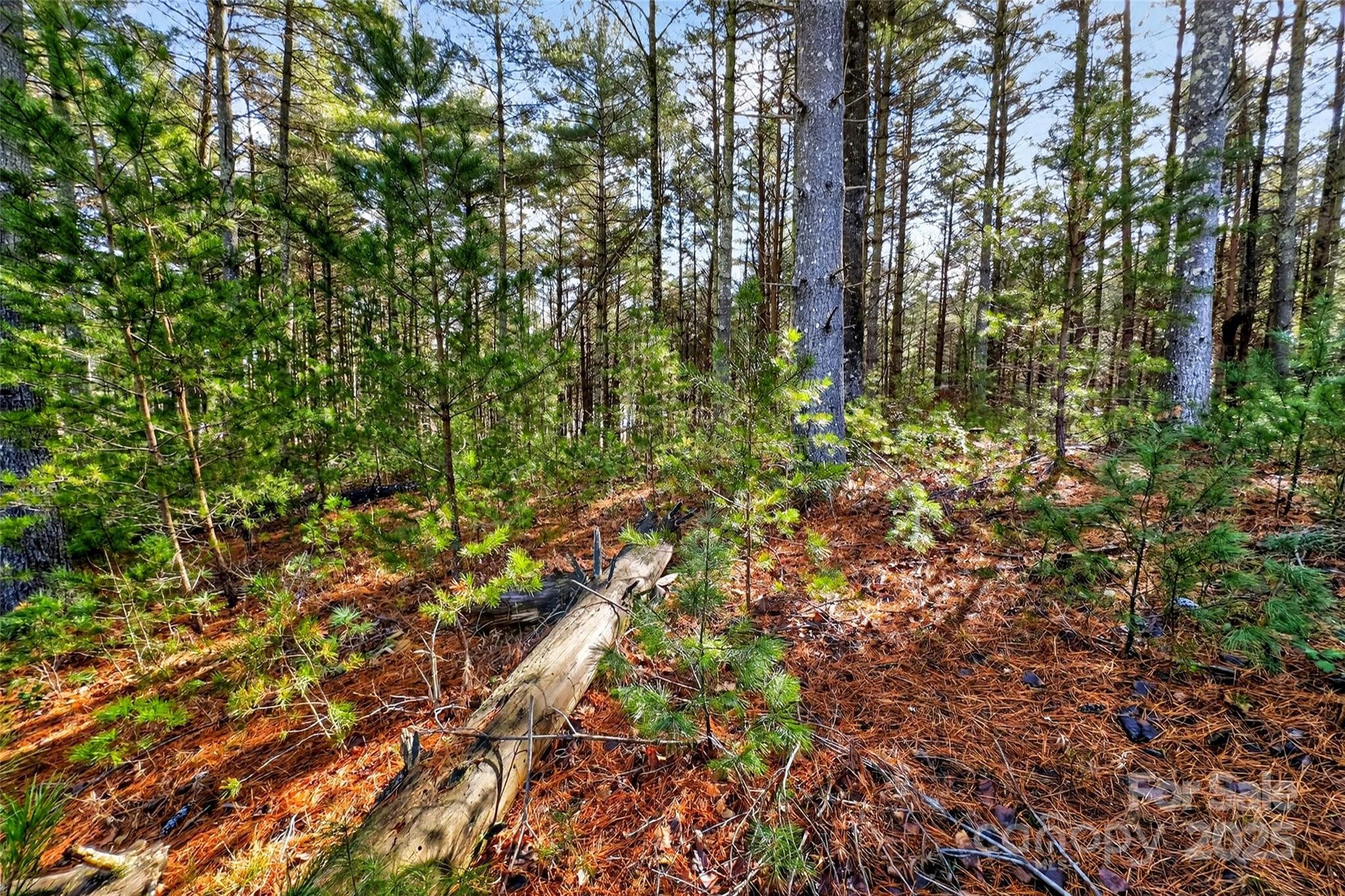 The Peninsula at Lake James - Land