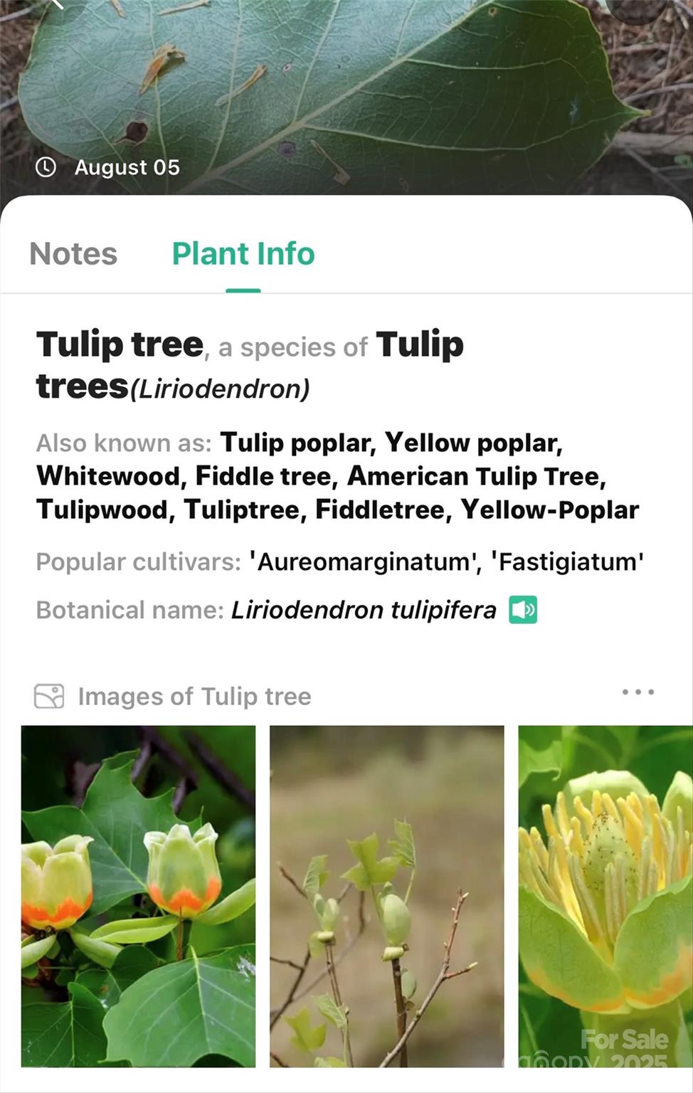 The Peninsula at Lake James - Land