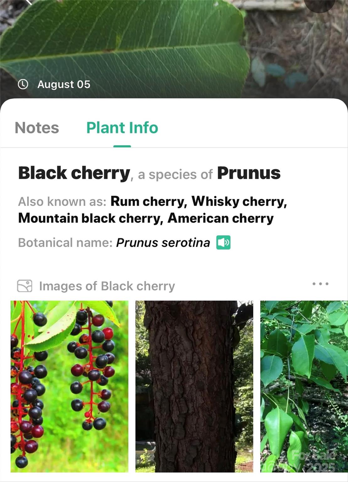 The Peninsula at Lake James - Land