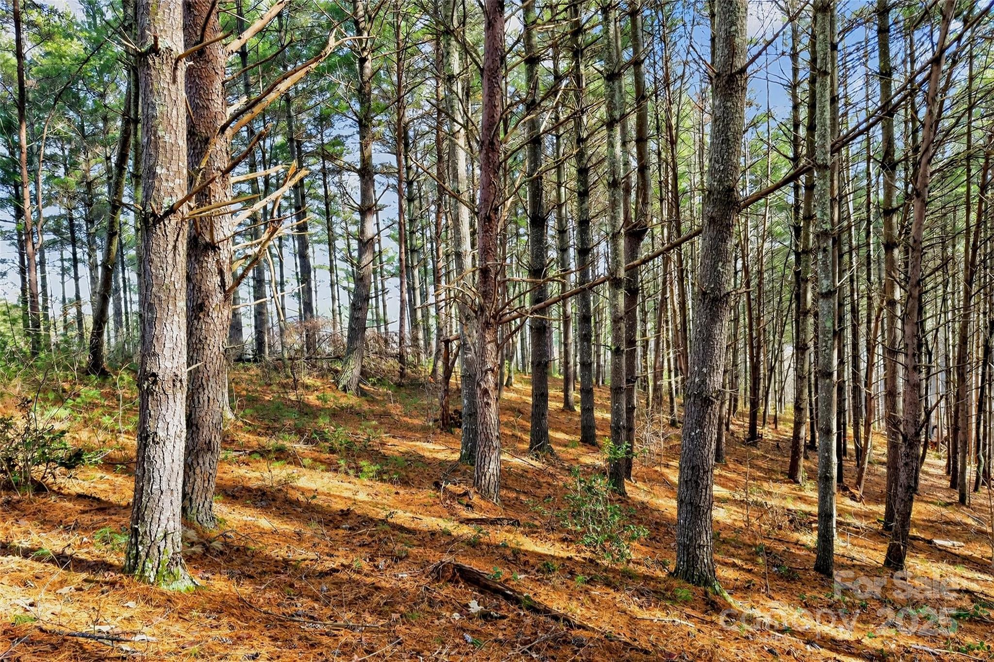 The Peninsula at Lake James - Land