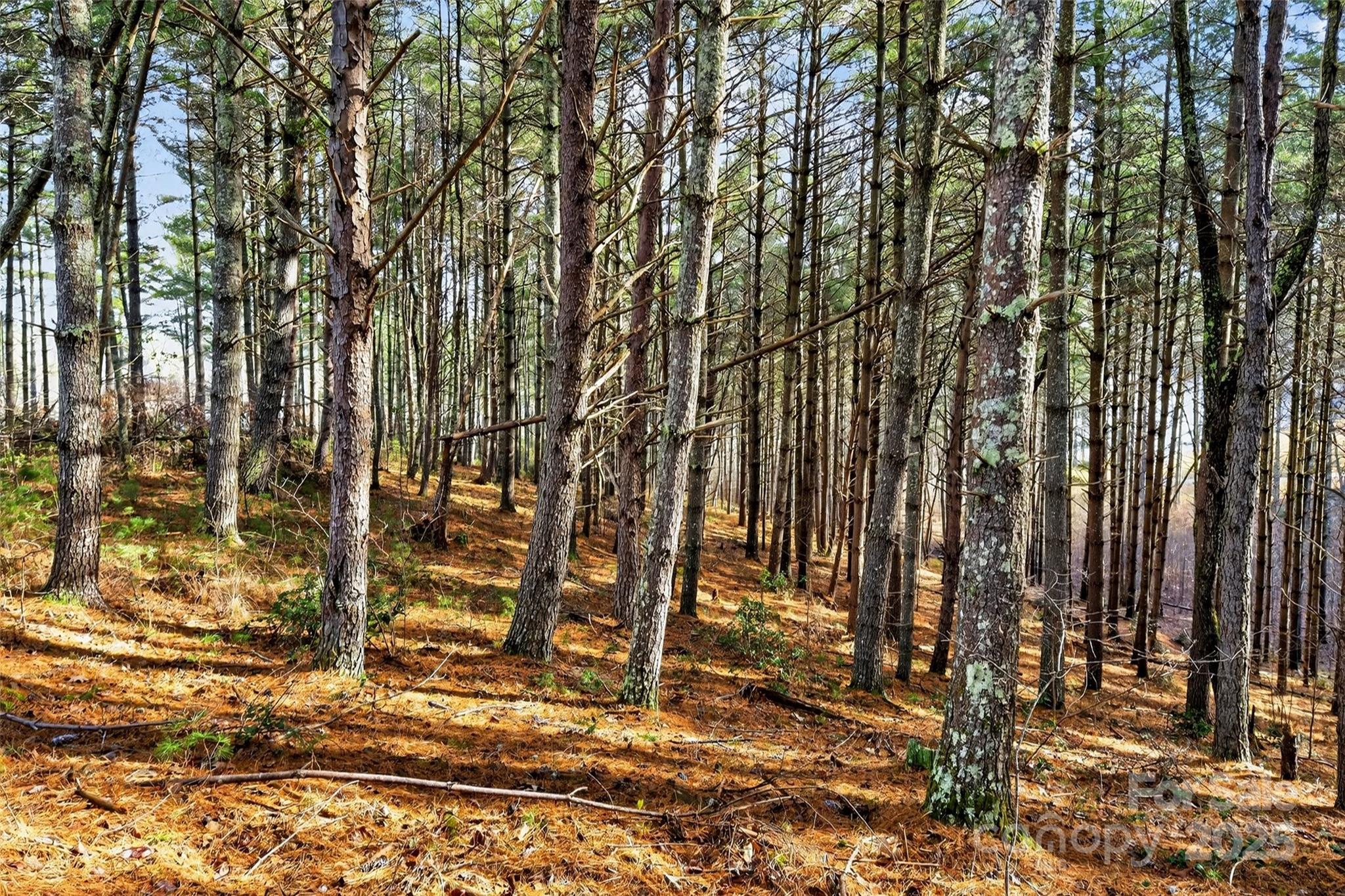 The Peninsula at Lake James - Land