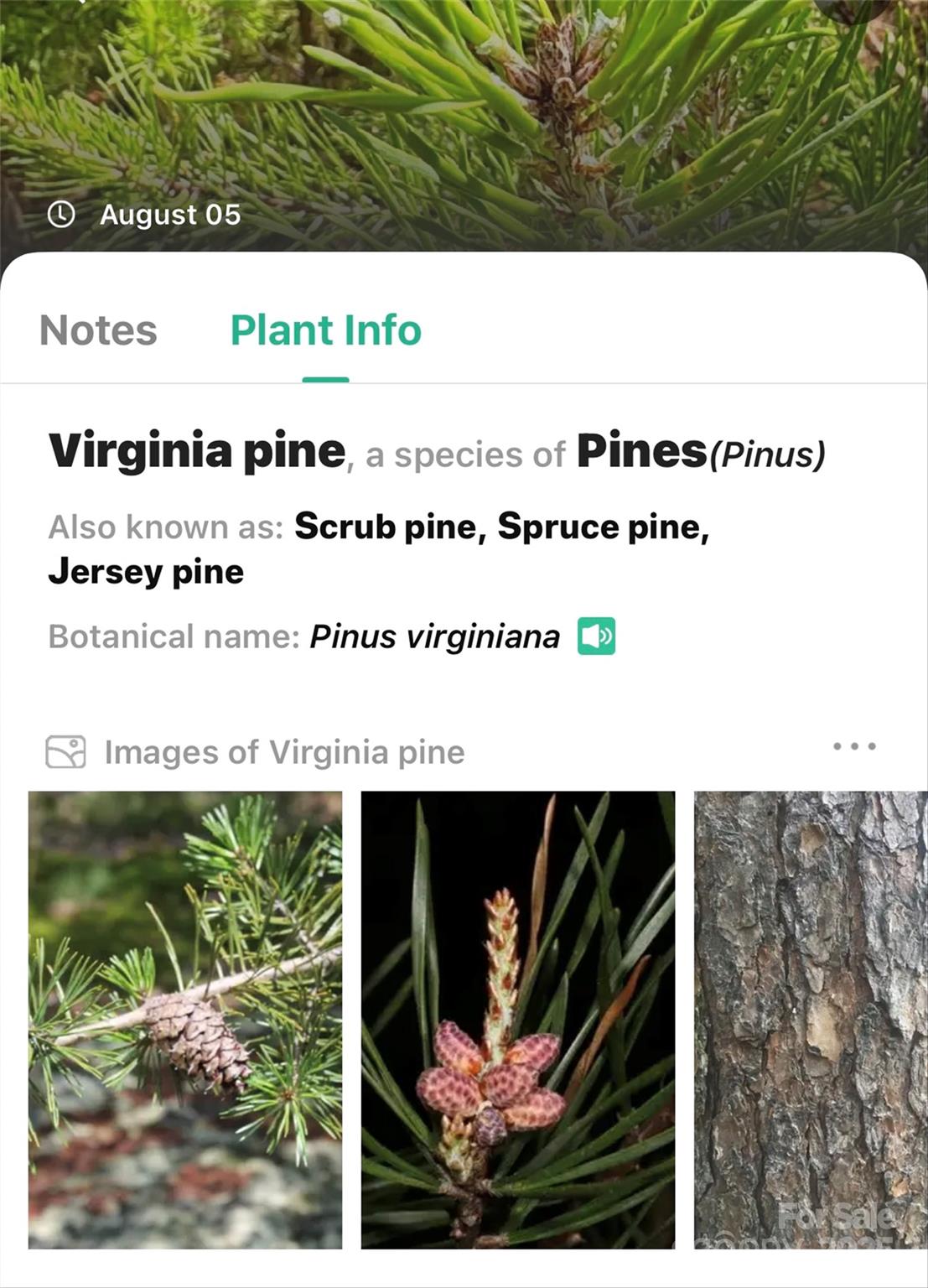 The Peninsula at Lake James - Land