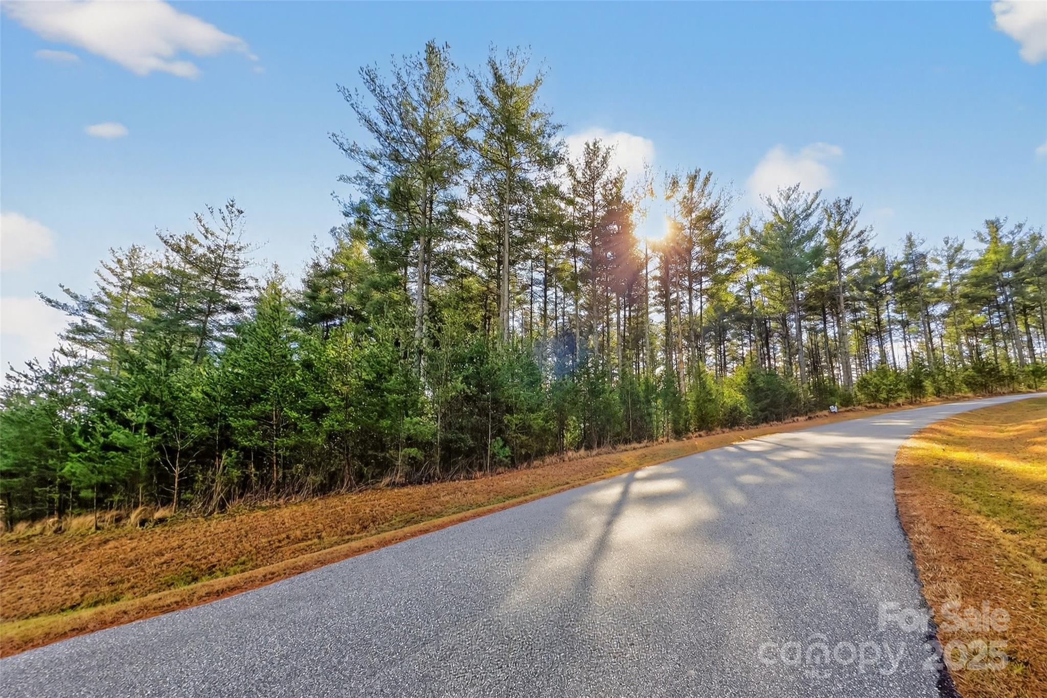 The Peninsula at Lake James - Land