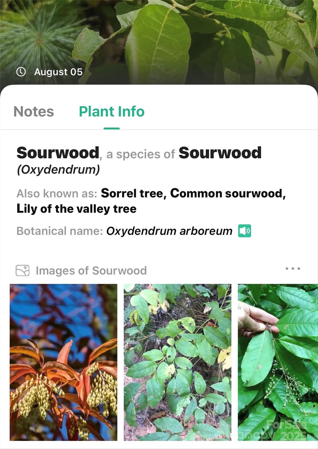 The Peninsula at Lake James - Land