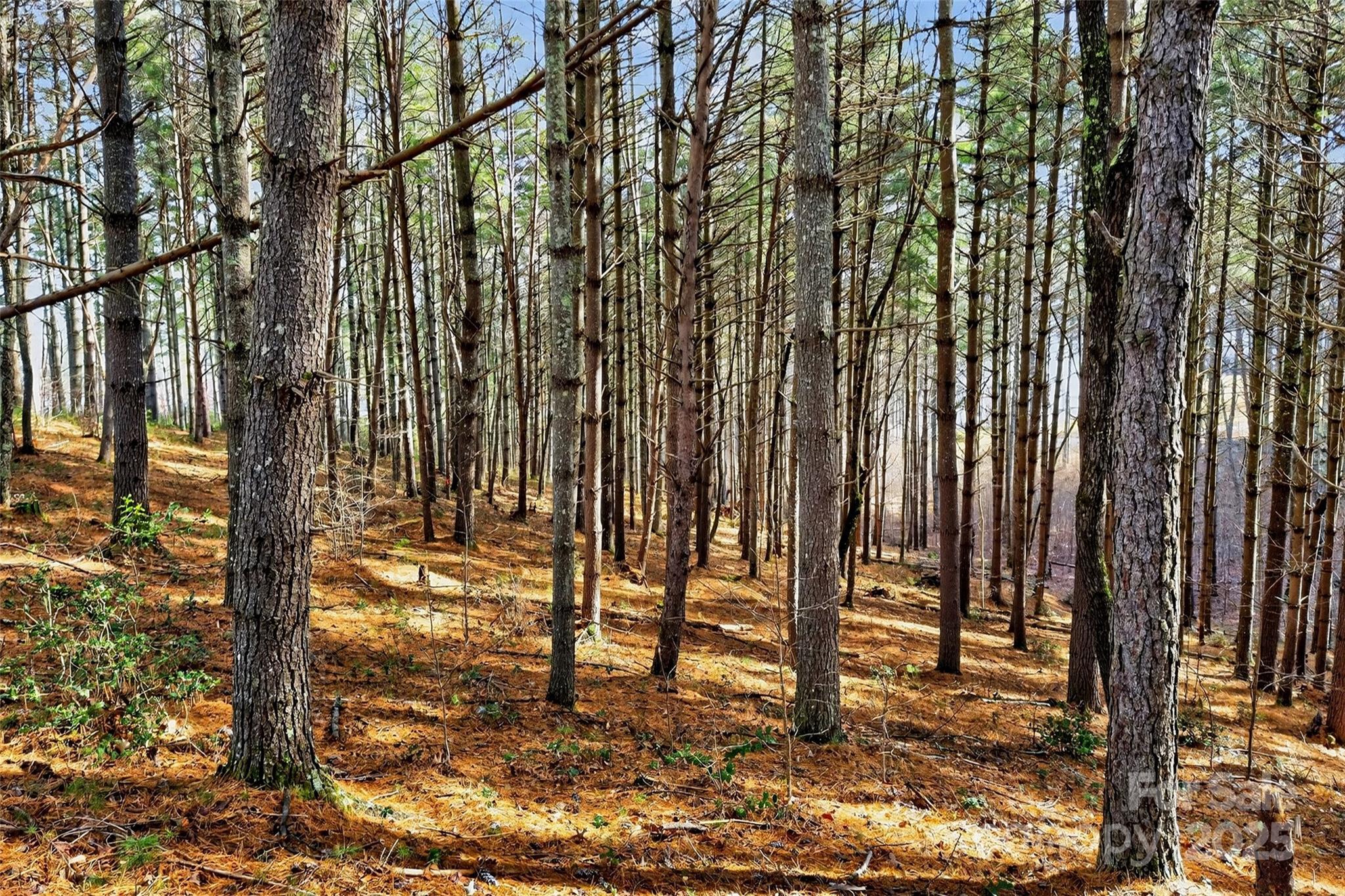 The Peninsula at Lake James - Land