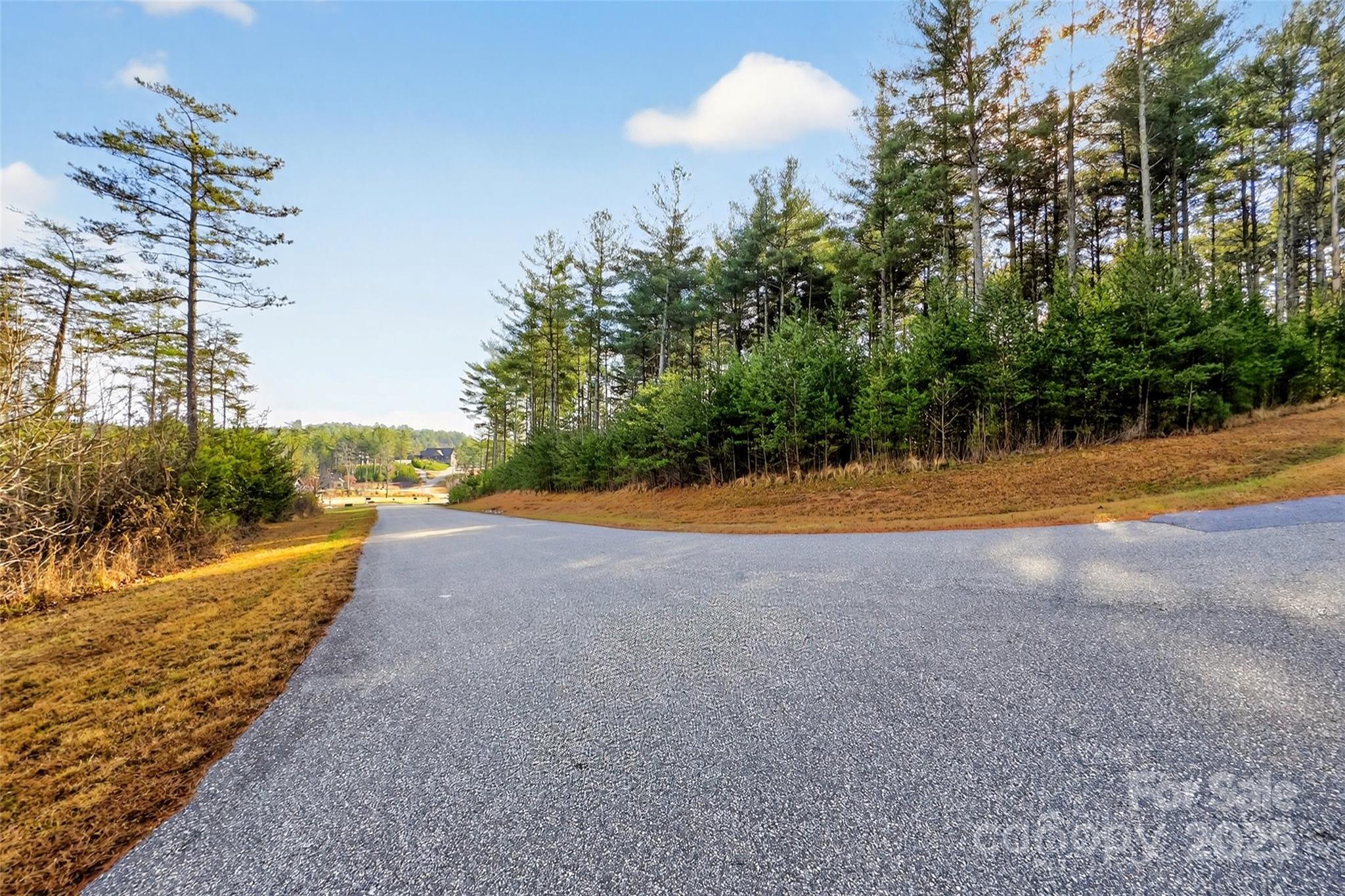 The Peninsula at Lake James - Land