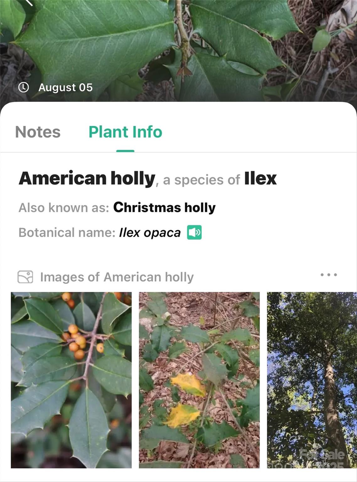 The Peninsula at Lake James - Land