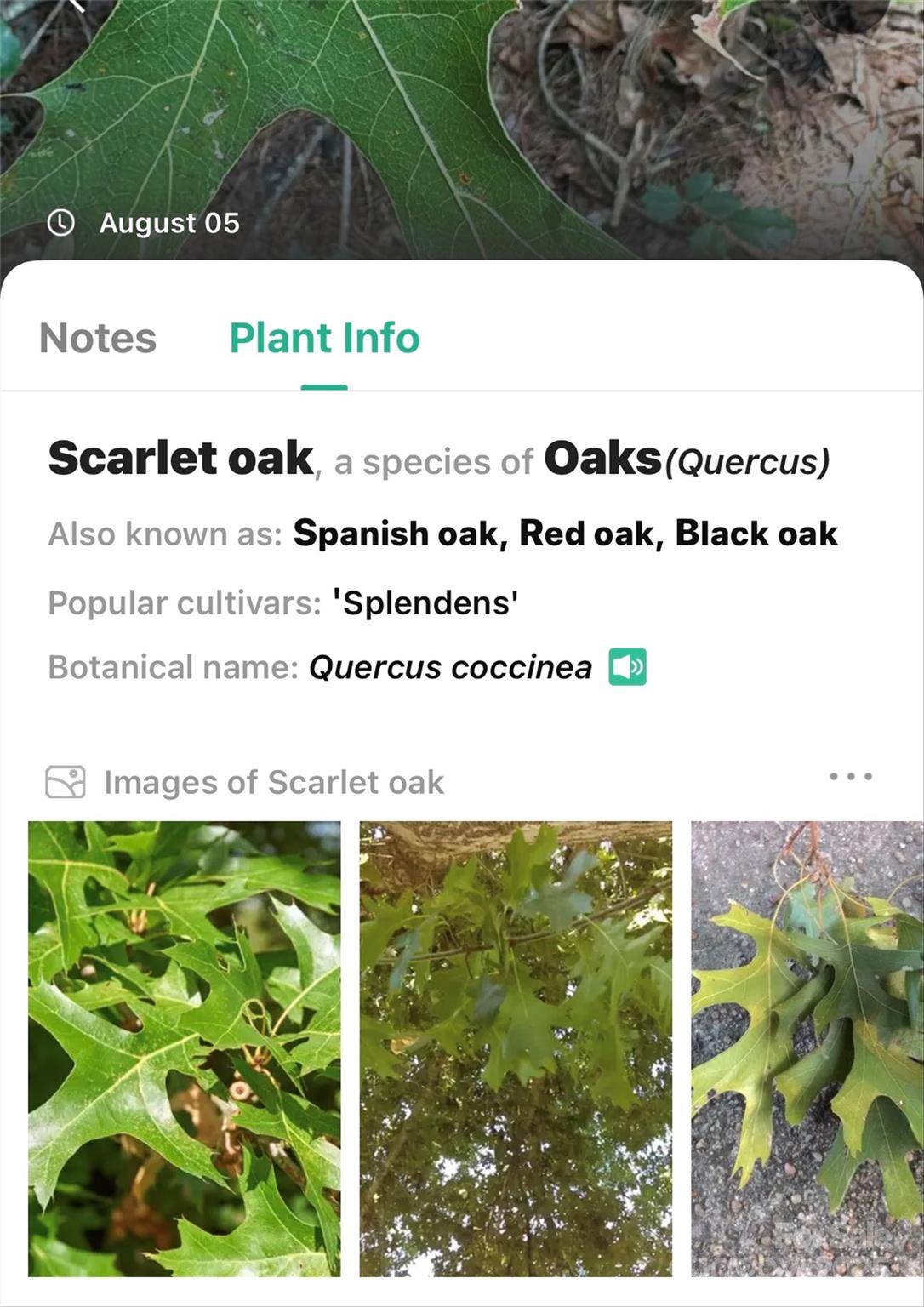 The Peninsula at Lake James - Land