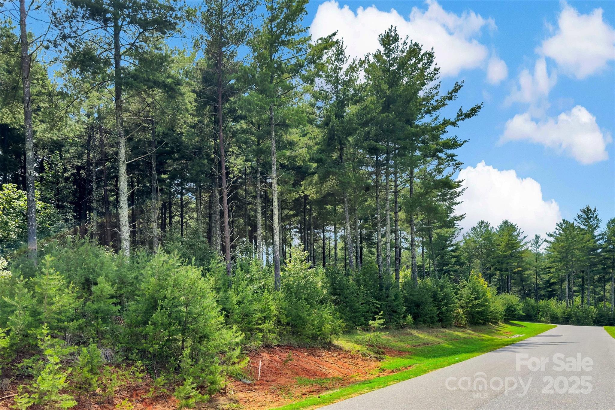 The Peninsula at Lake James - Land