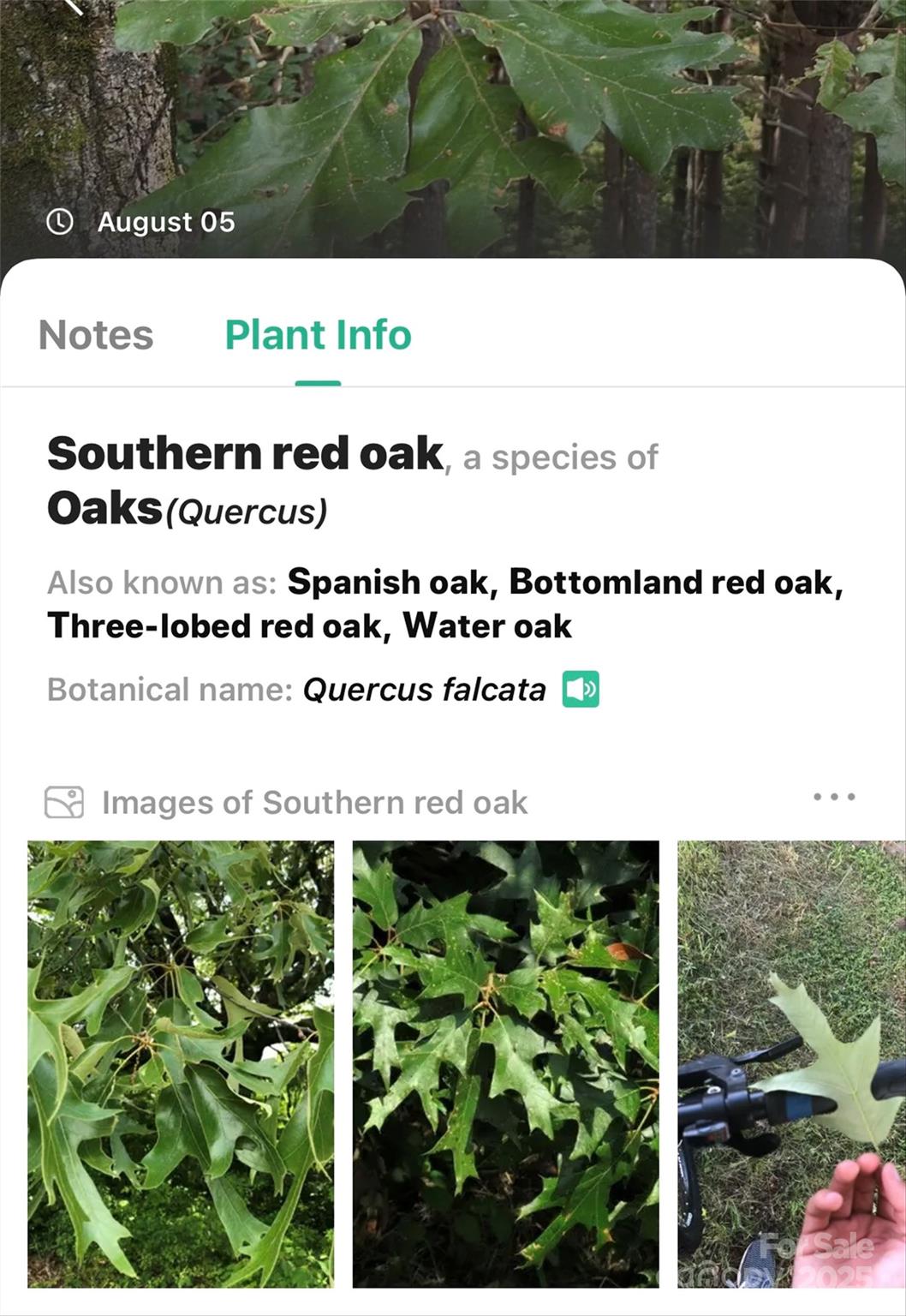 The Peninsula at Lake James - Land