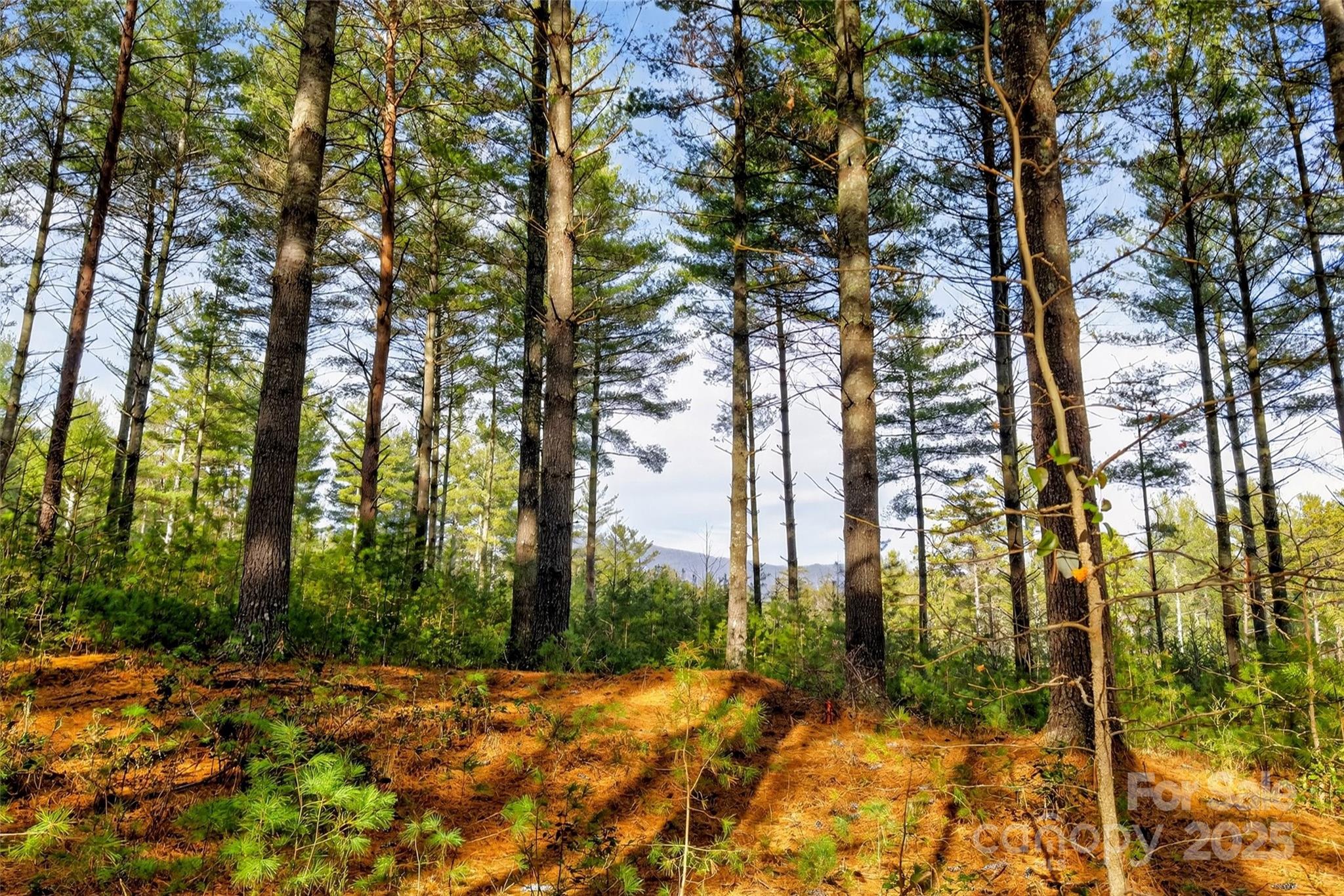 The Peninsula at Lake James - Land