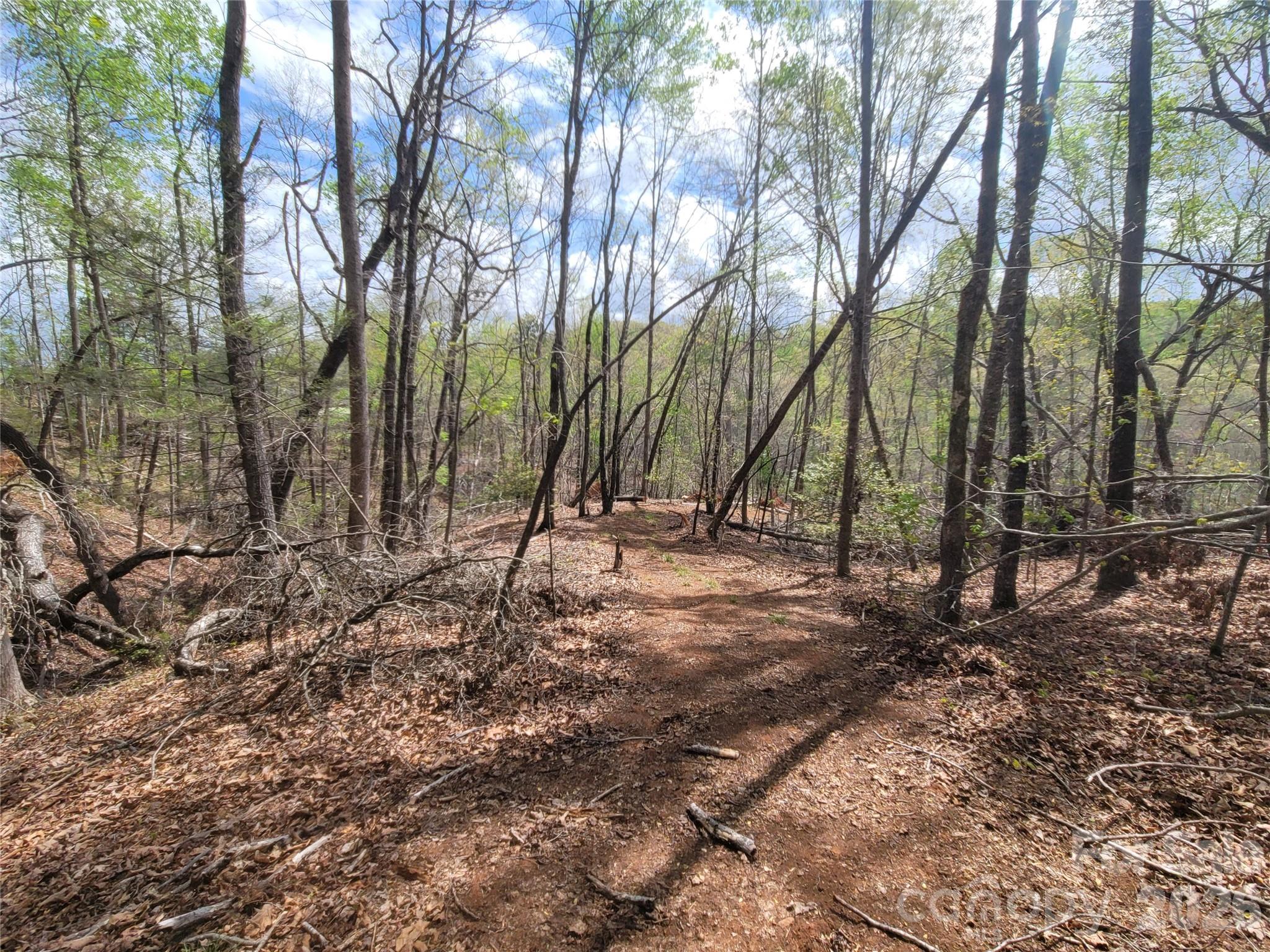 Spring Hill Farms - Land