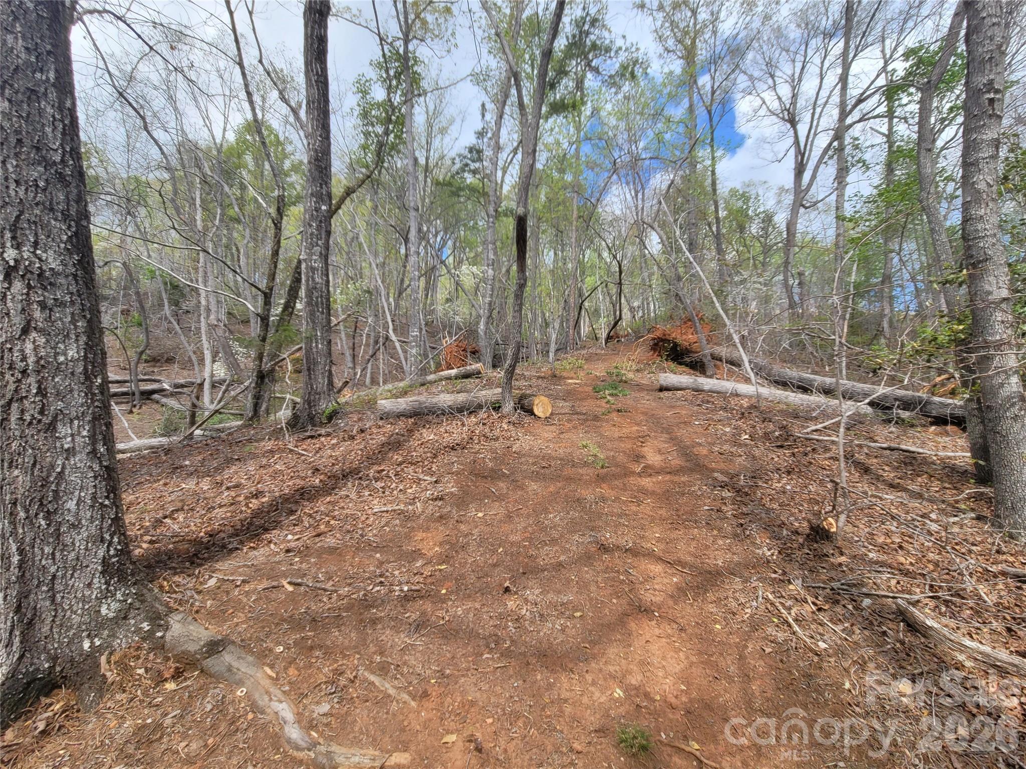 Spring Hill Farms - Land