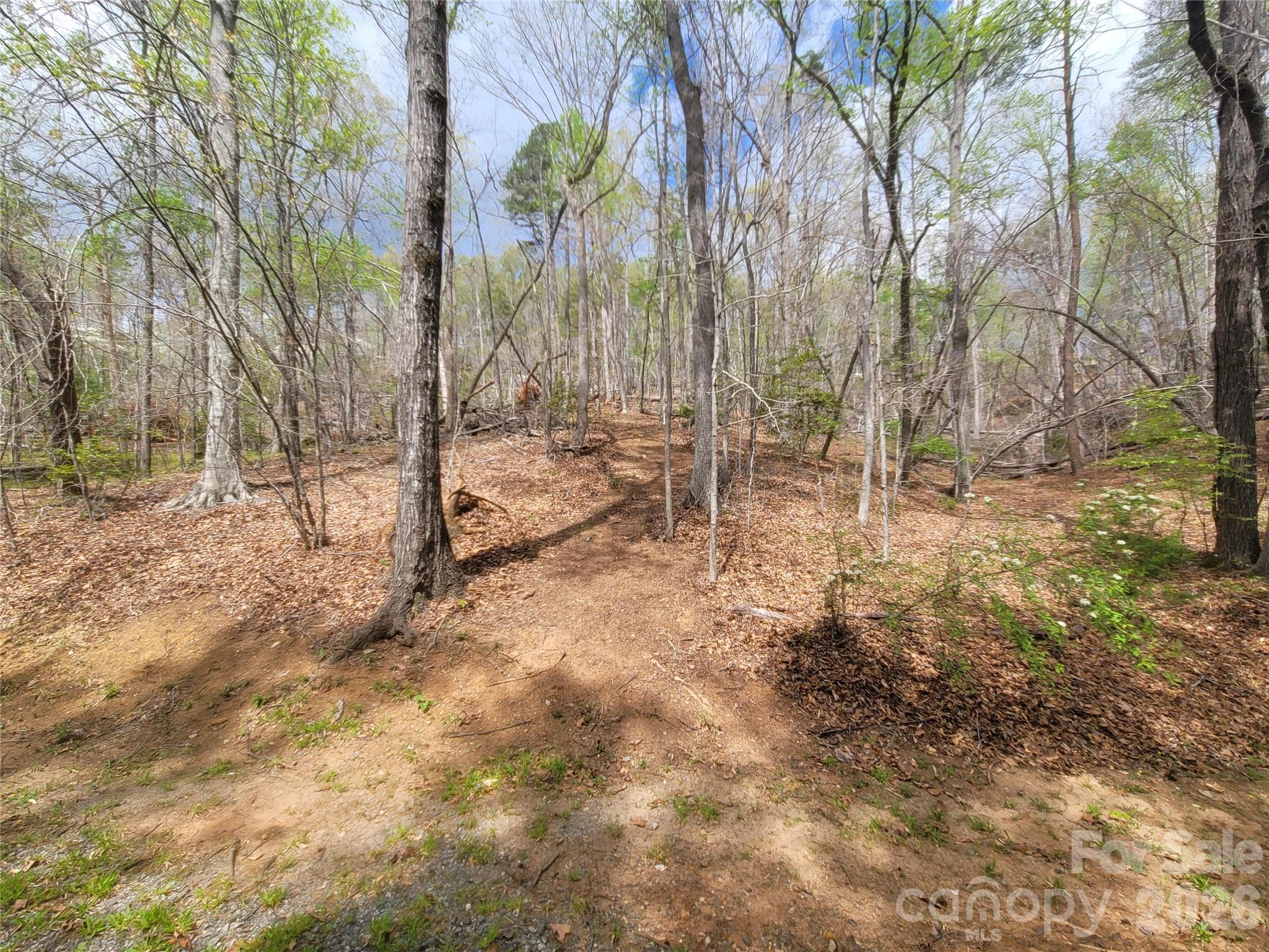 Spring Hill Farms - Land