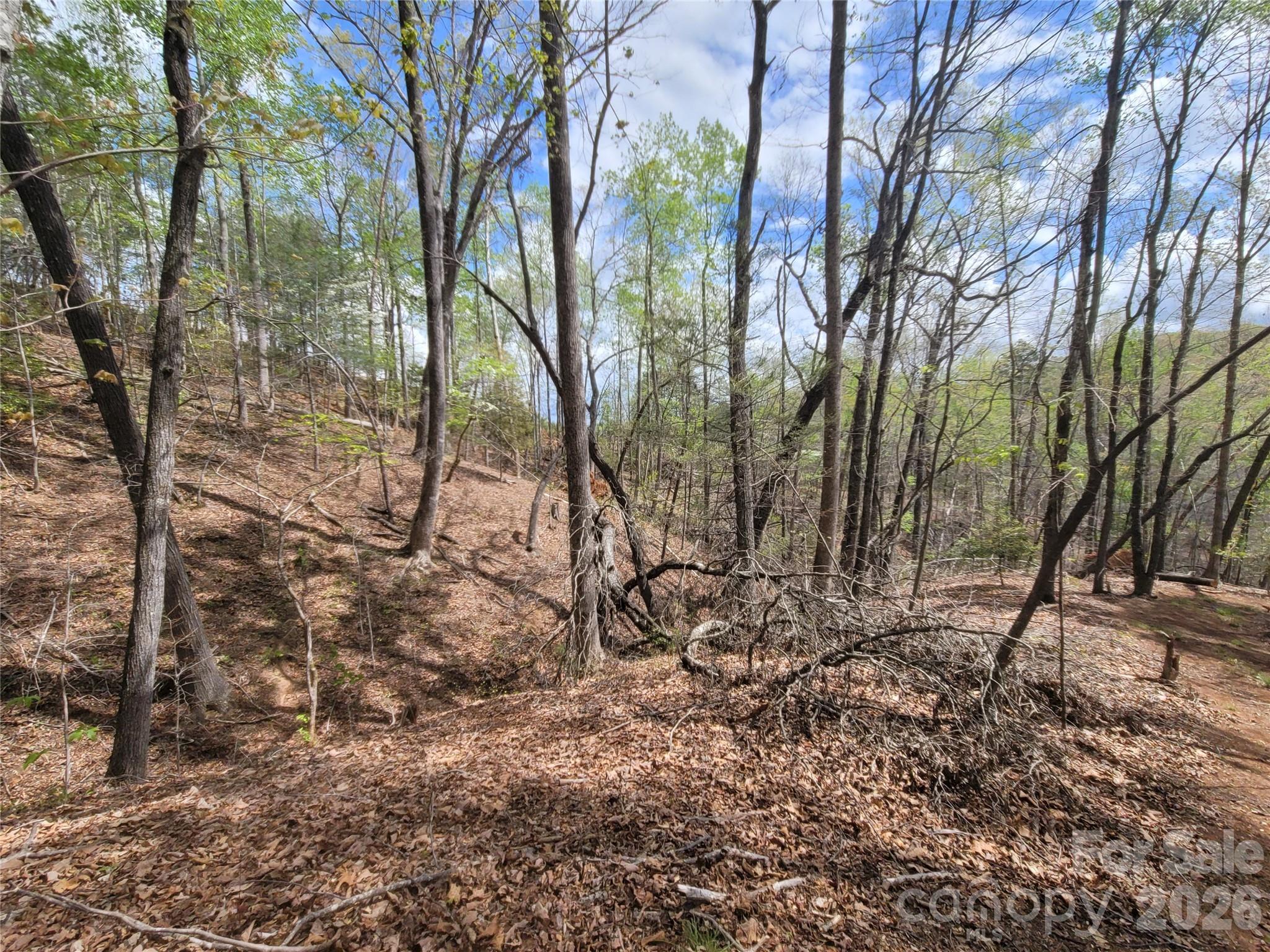 Spring Hill Farms - Land