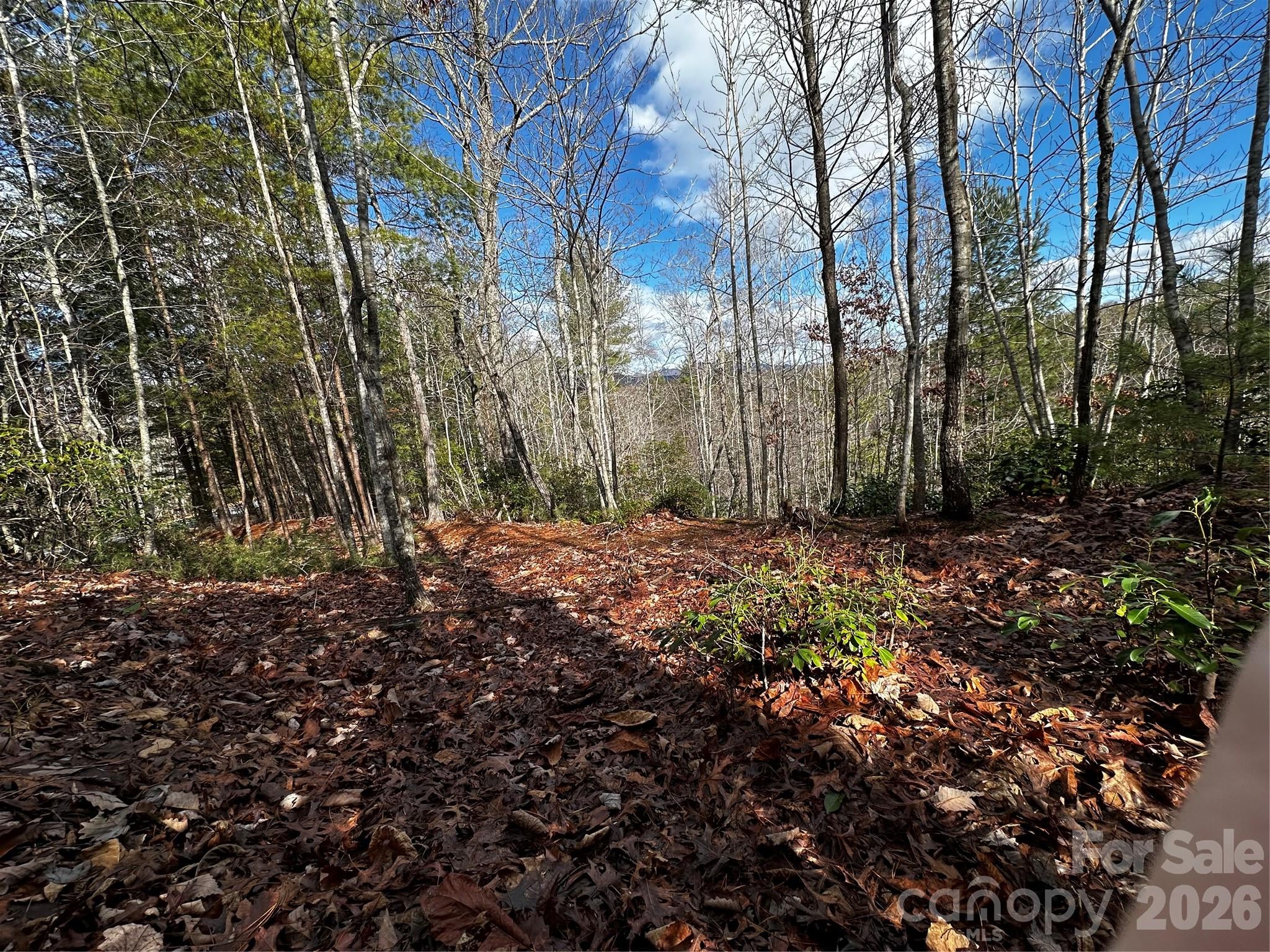 54 Winghaven Drive 41