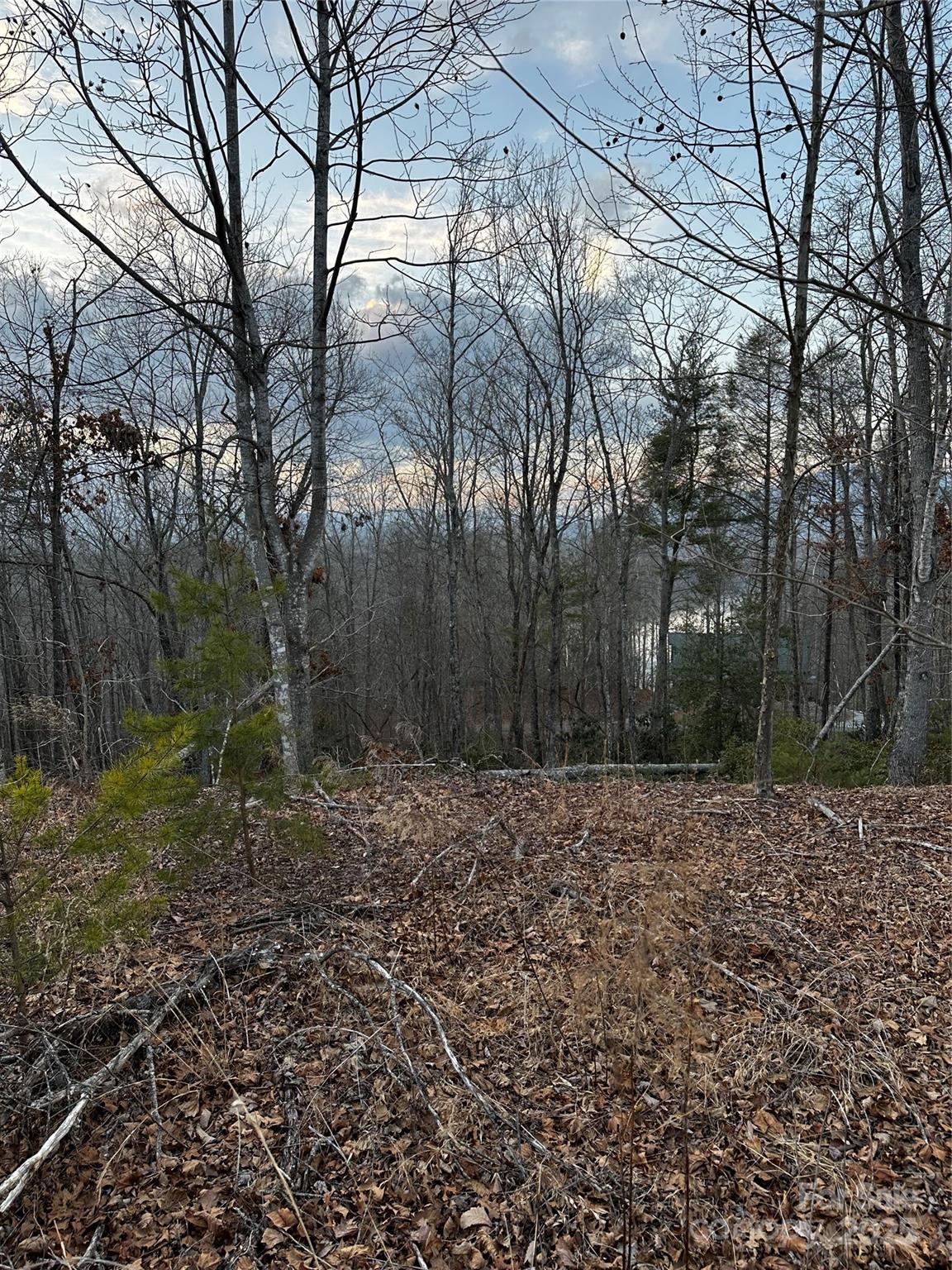 954 High Trail Drive 33
