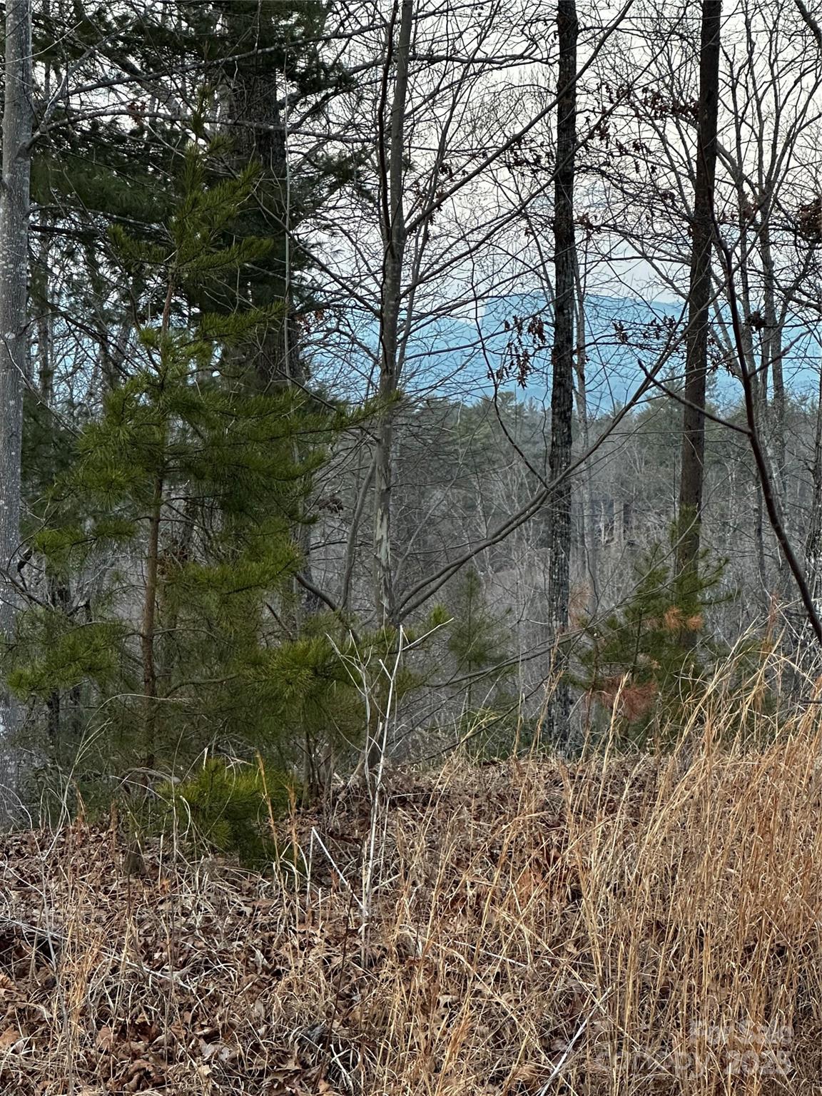 954 High Trail Drive 33