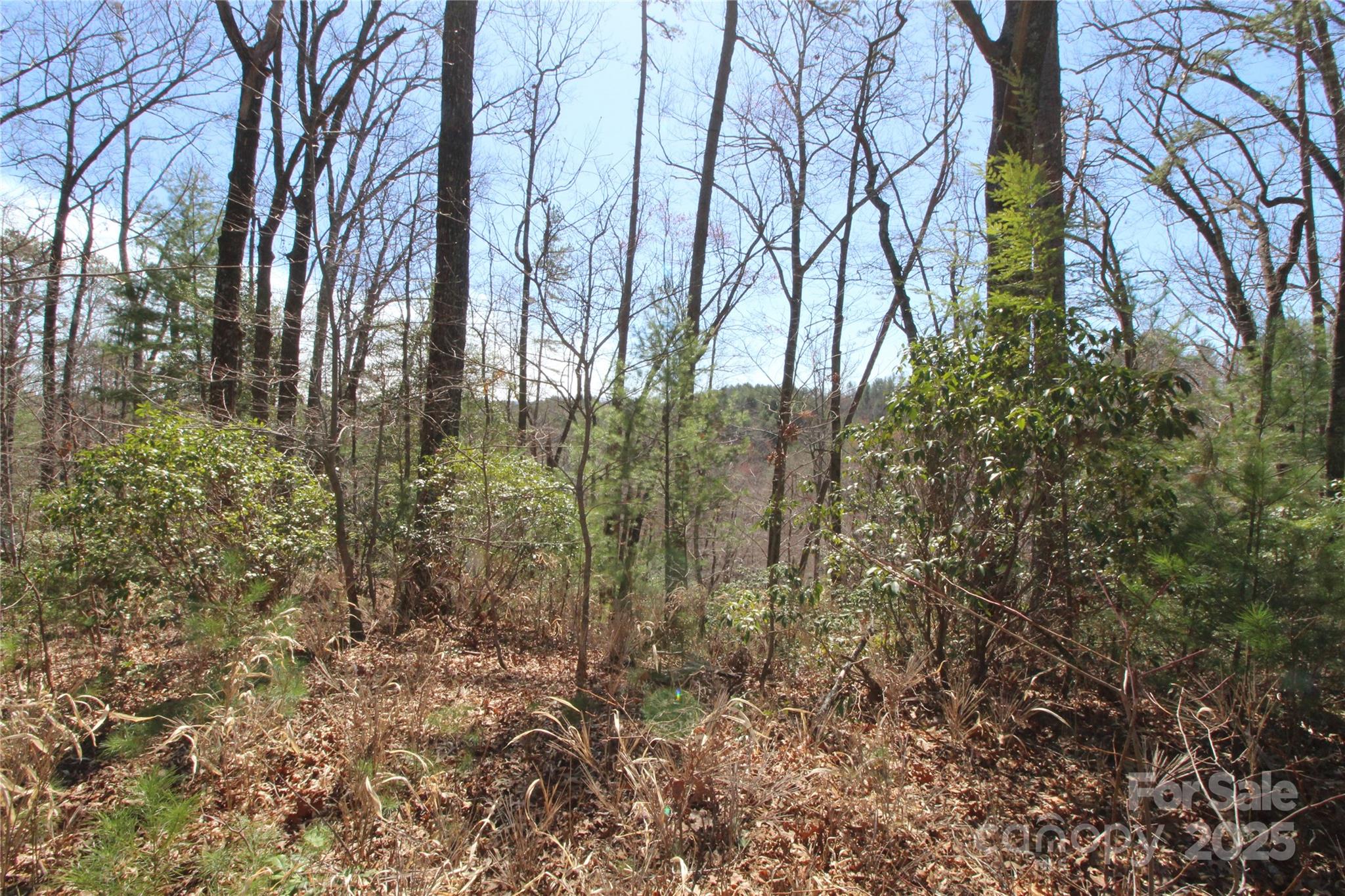 Heartwood Forest - Land