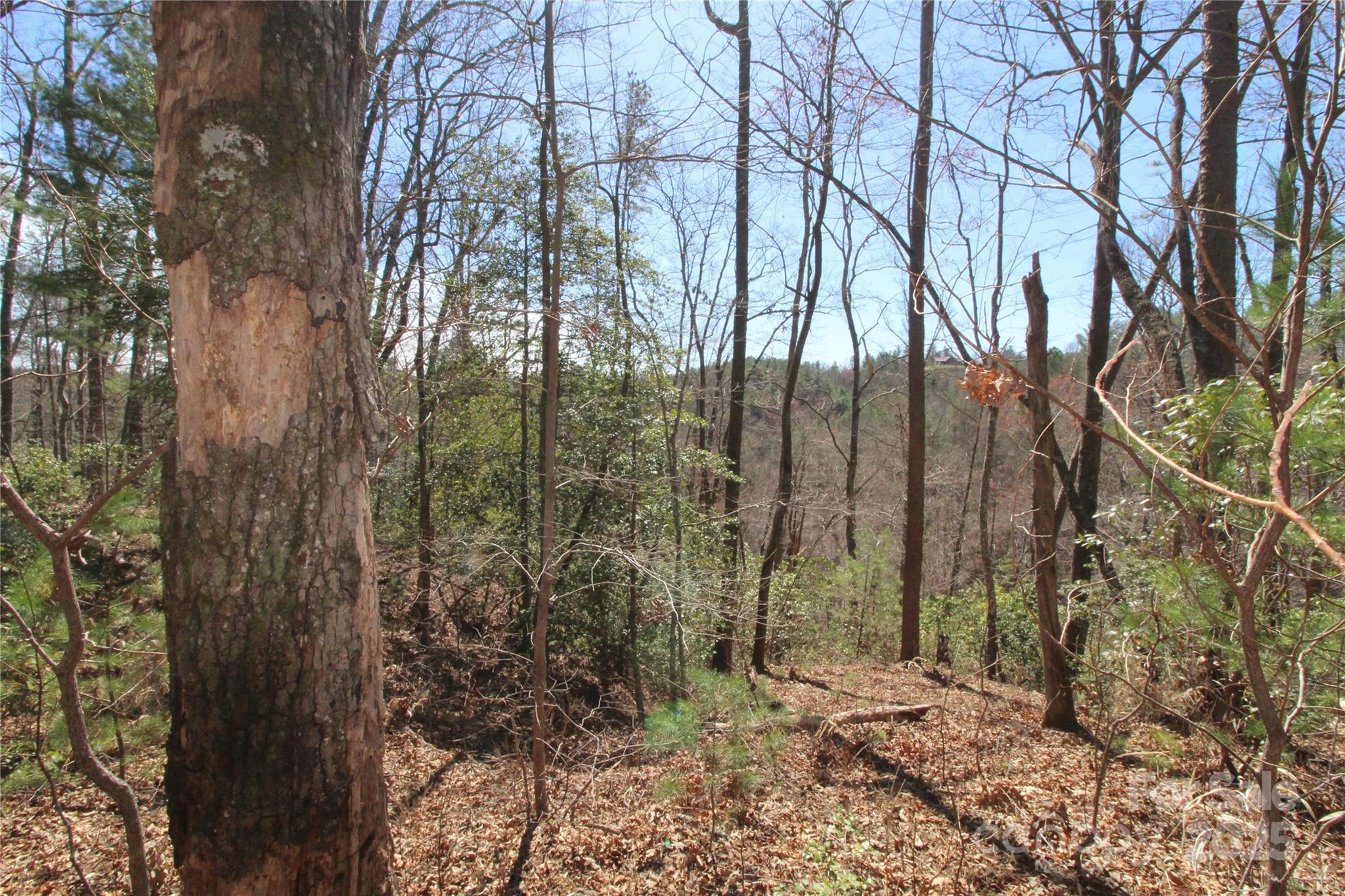 Heartwood Forest - Land