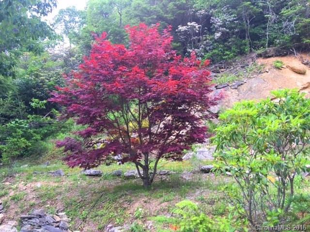 Fairview Forest - Residential