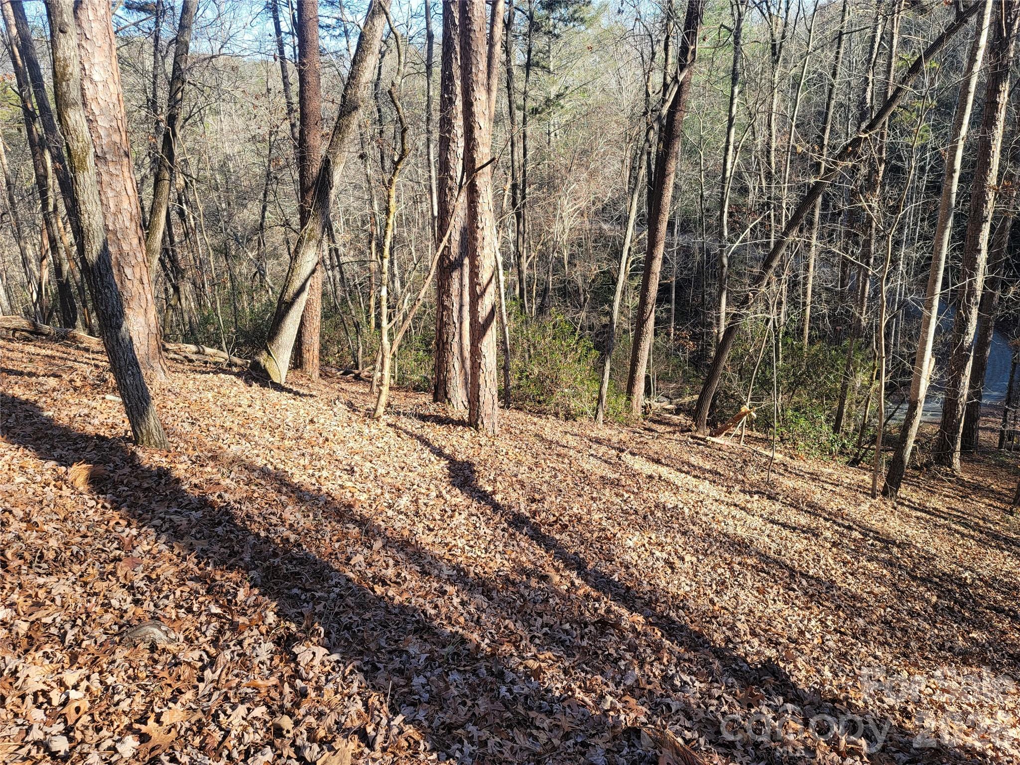 Riverbend at Lake Lure - Land