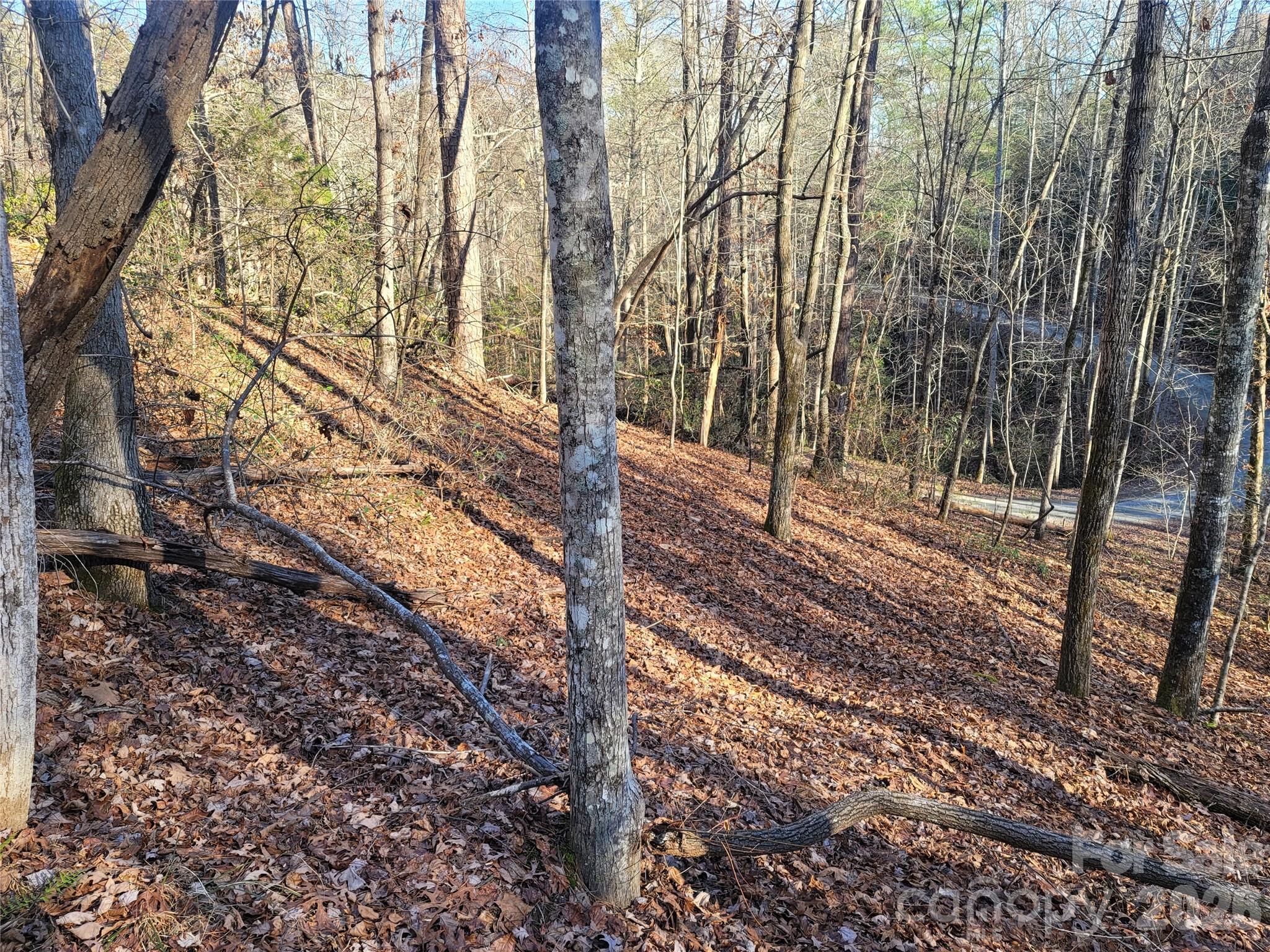 Riverbend at Lake Lure - Land