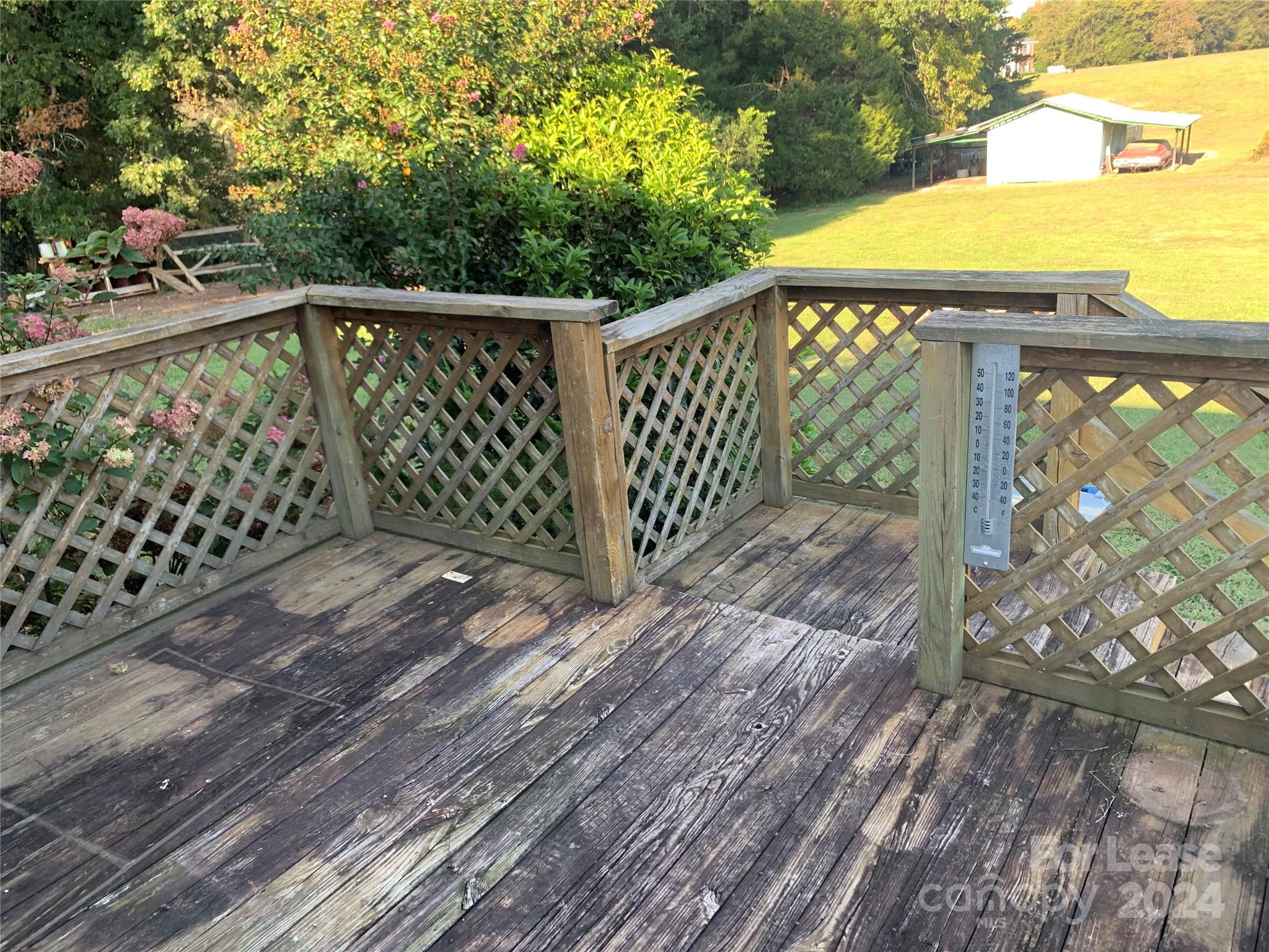 None - Residential Lease