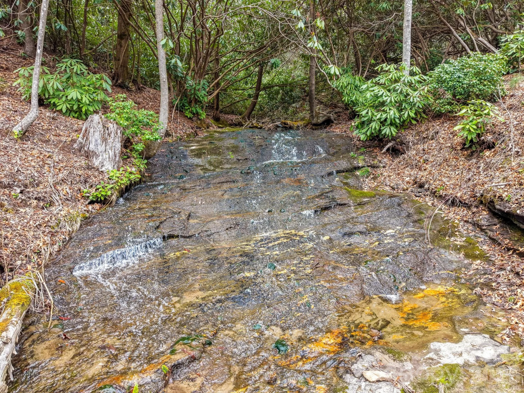 580 N Robinson Creek Road, Glenville, NC, 28736