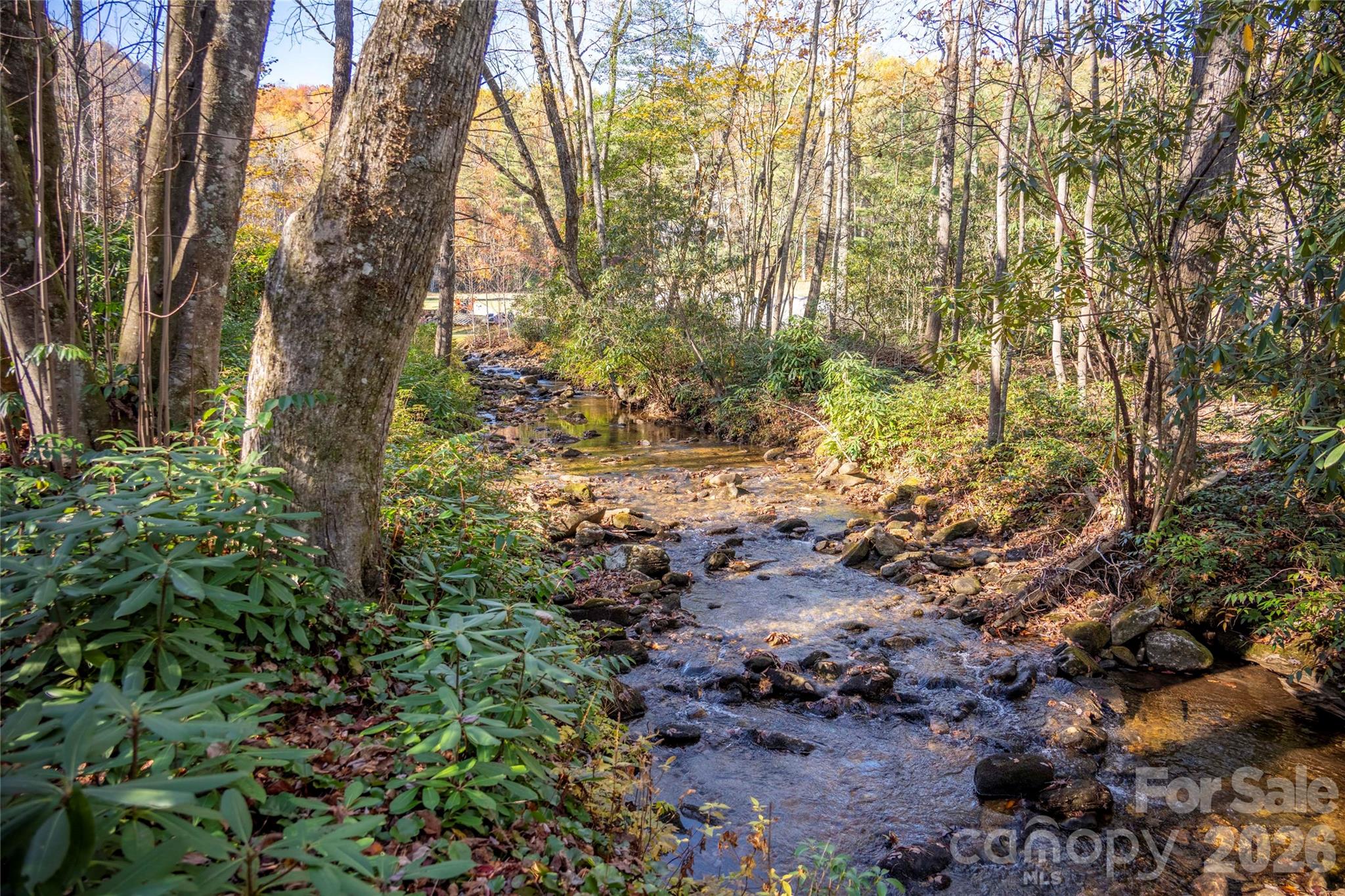 Lake Toxaway Estates - Land