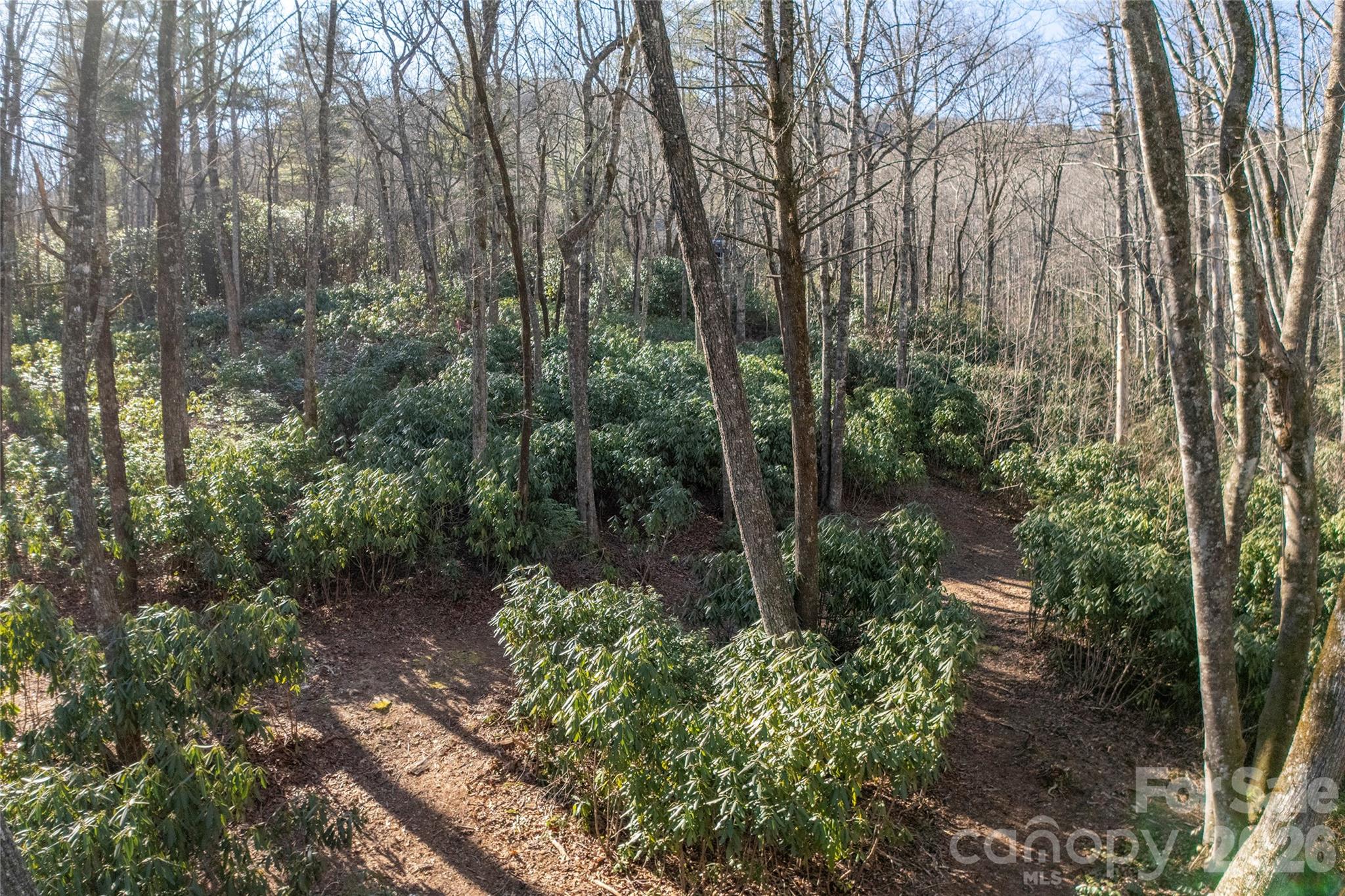 Lake Toxaway Estates - Land