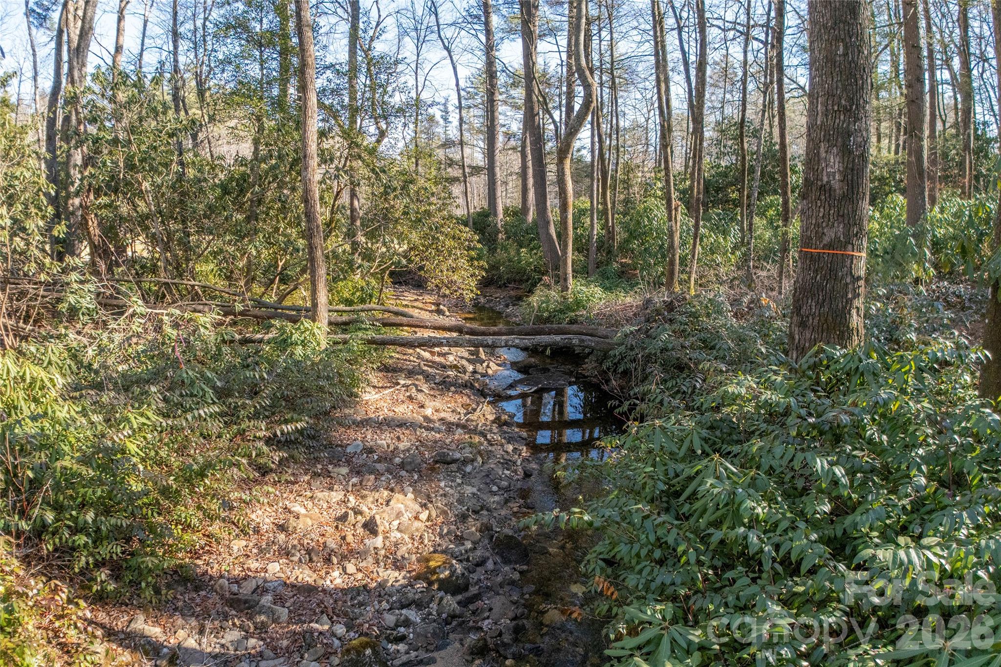 Lake Toxaway Estates - Land