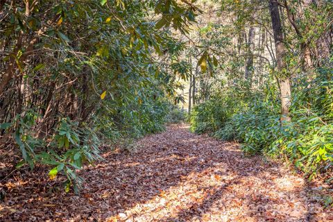Photo of L 9A R Old Mine Point, Lake Toxaway, NC 28747 (MLS # 4331092)