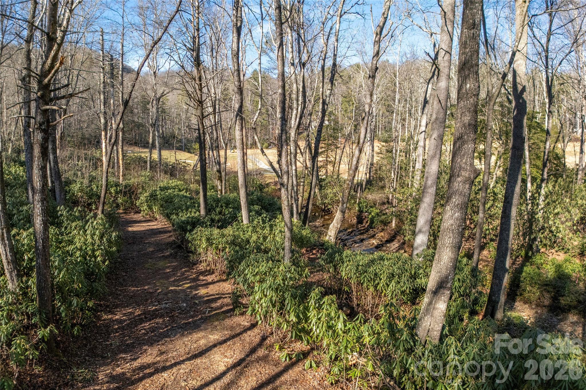 Lake Toxaway Estates - Land
